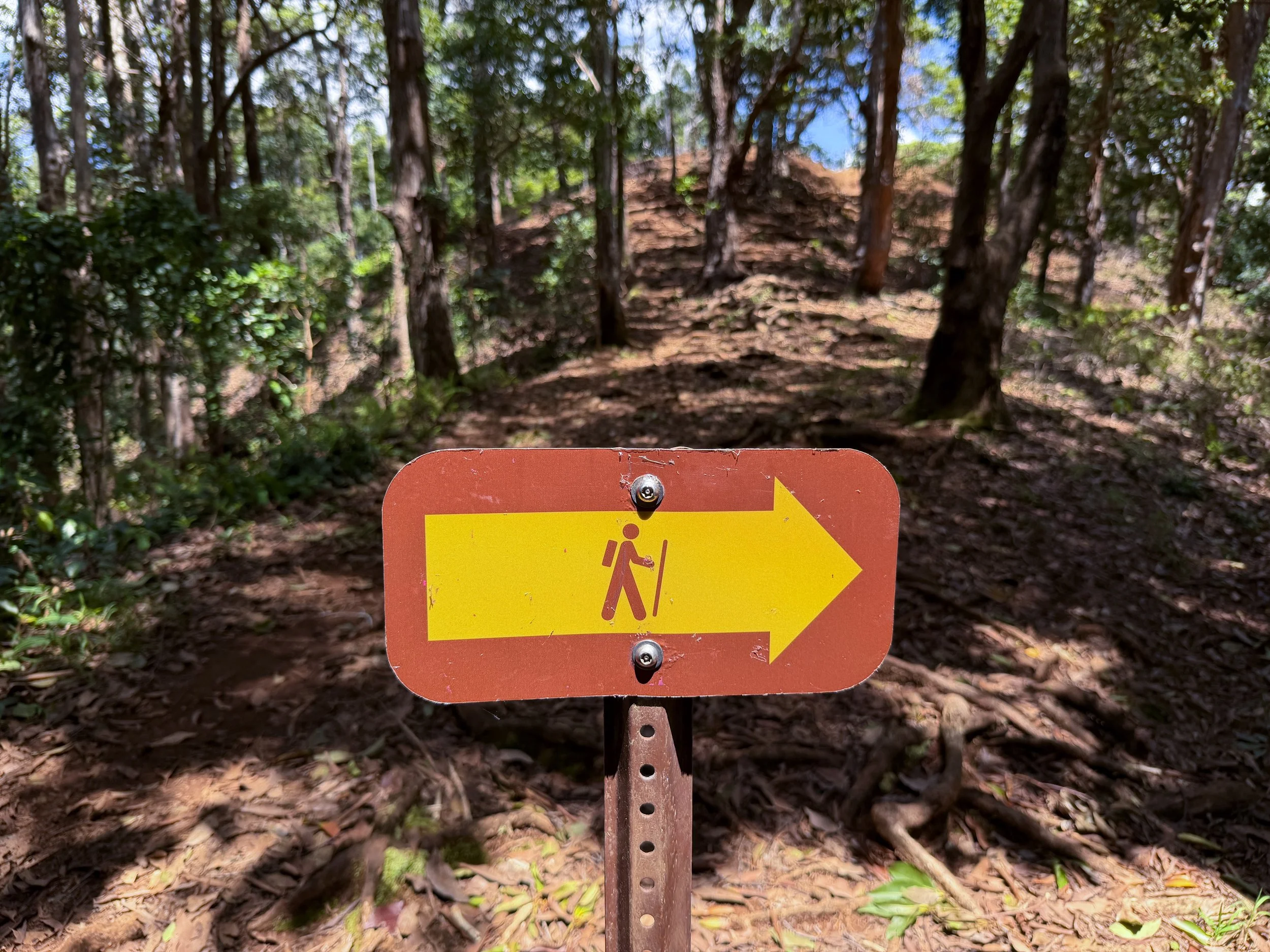 Waimano Pools Trail Oahu Hawaii