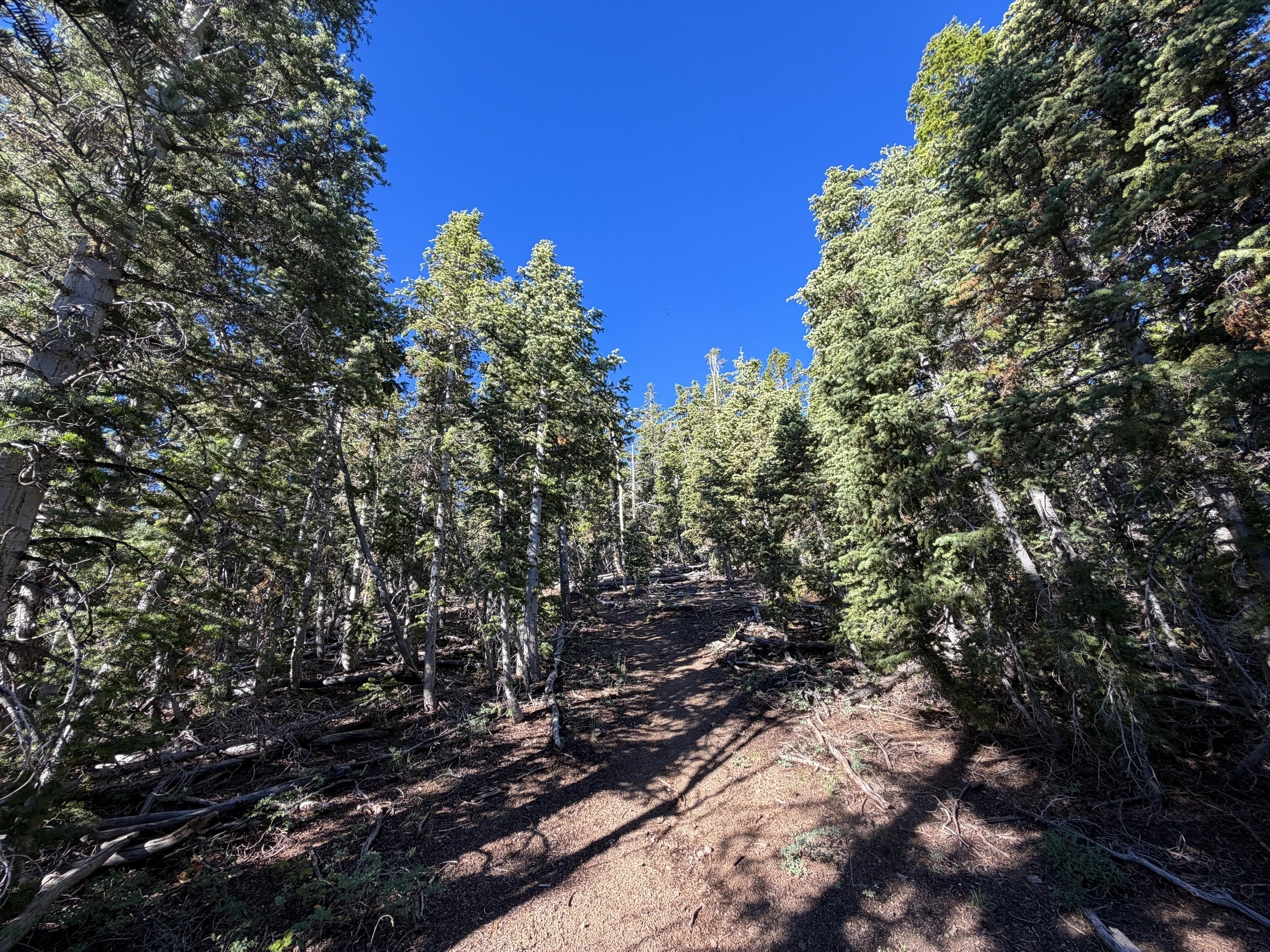 Snake Divide Trail to Mt. Washington Great Basin National Park Nevada