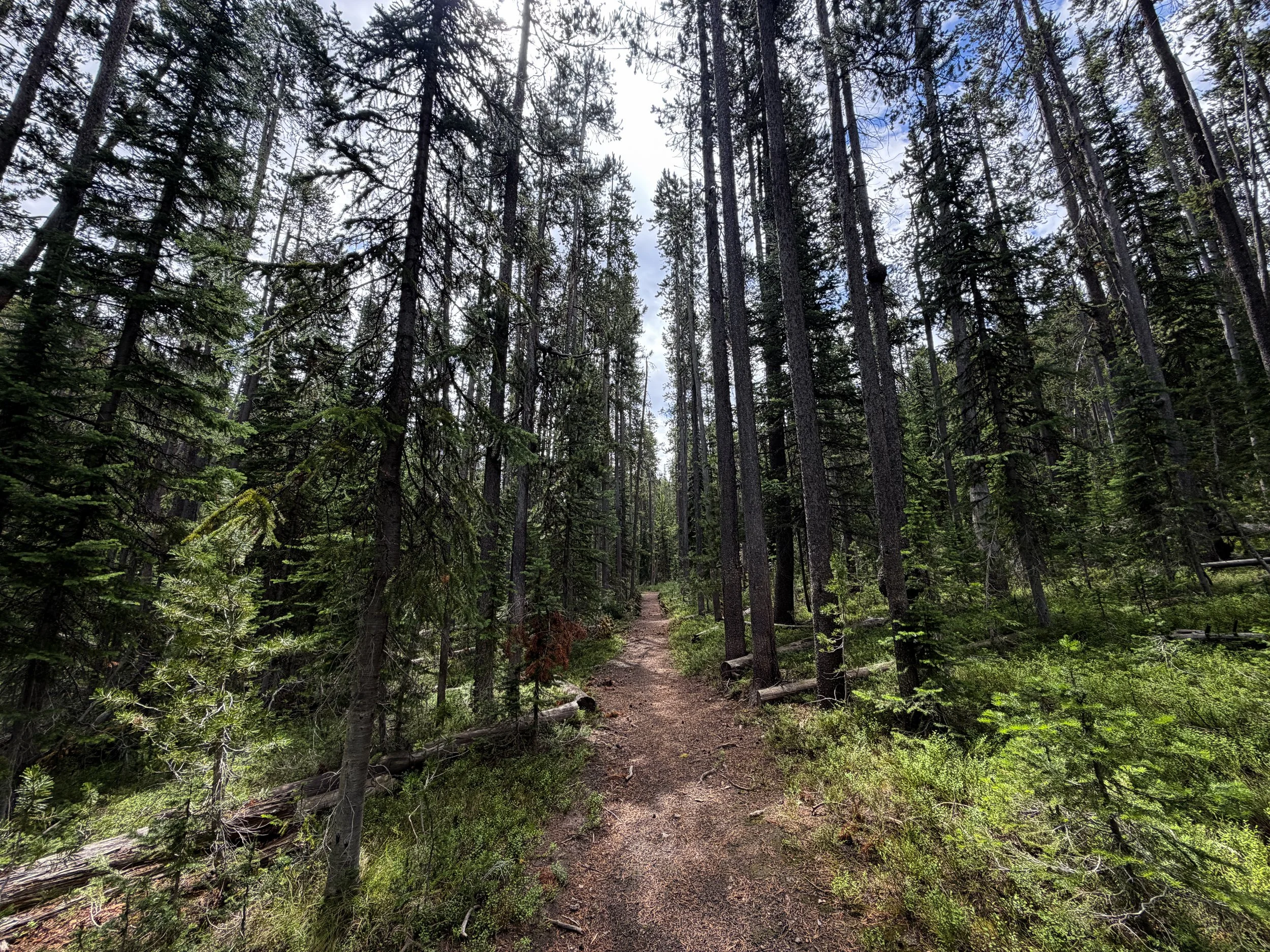 Divide Mountain Hike Yellowstone National Park Wyoming