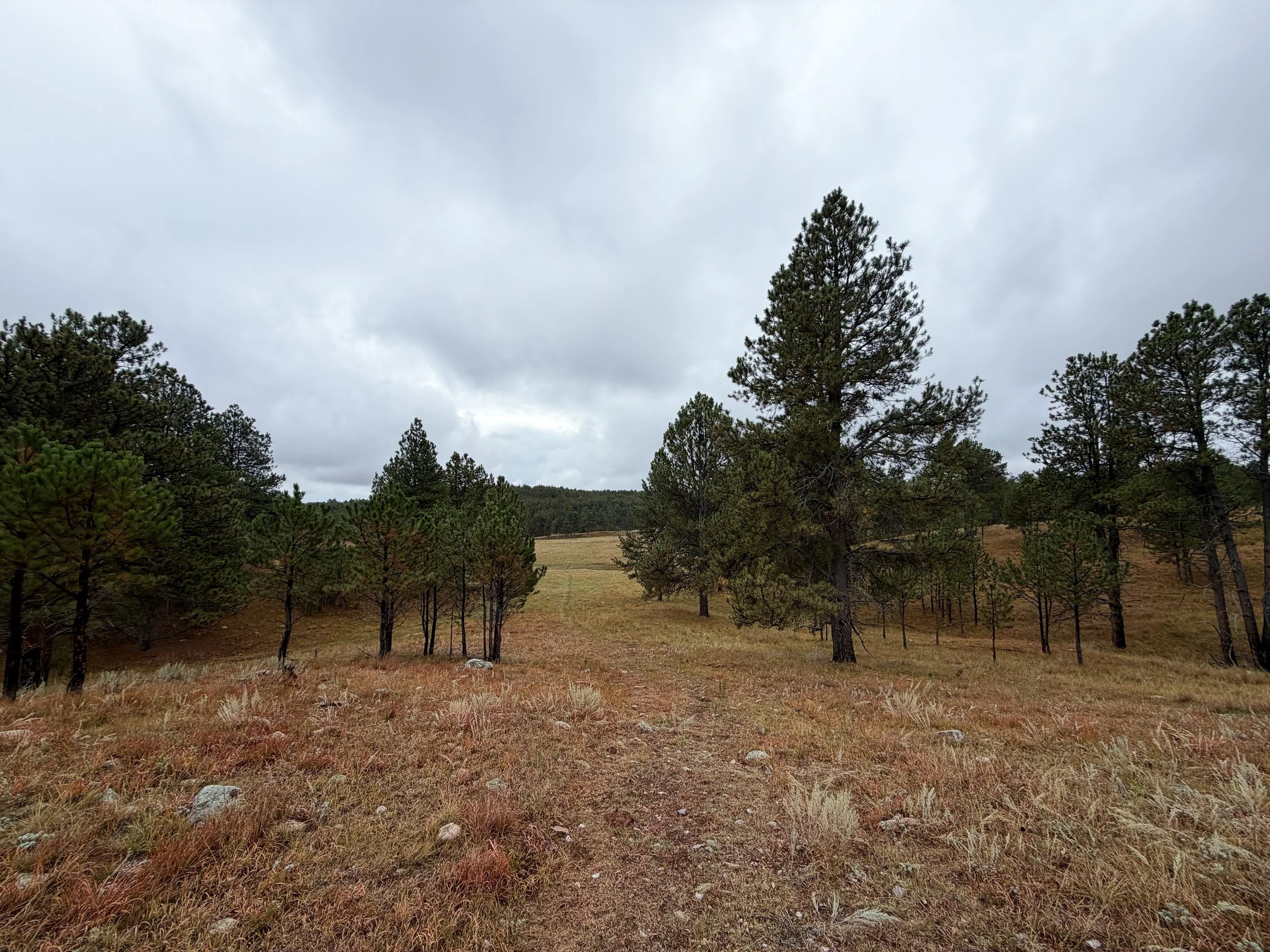 Highland Creek to Wind Cave Canyon Trail Wind Cave National Park South Dakota