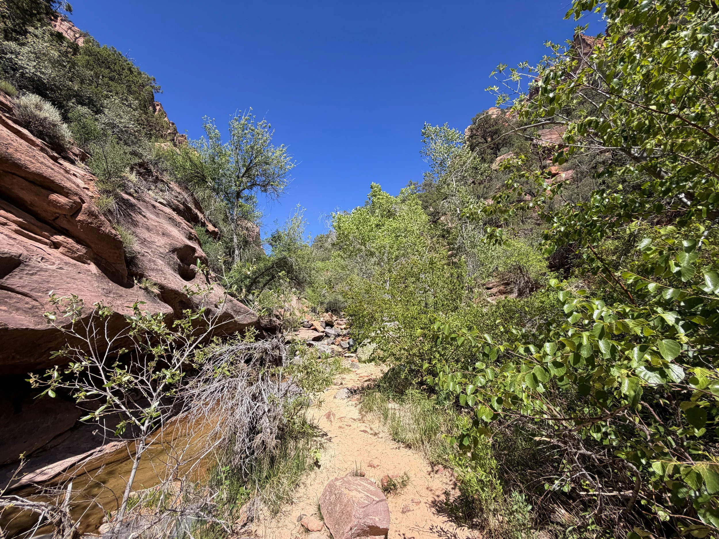 Subway Trail via Left Fork North Creek Zion National Park Utah