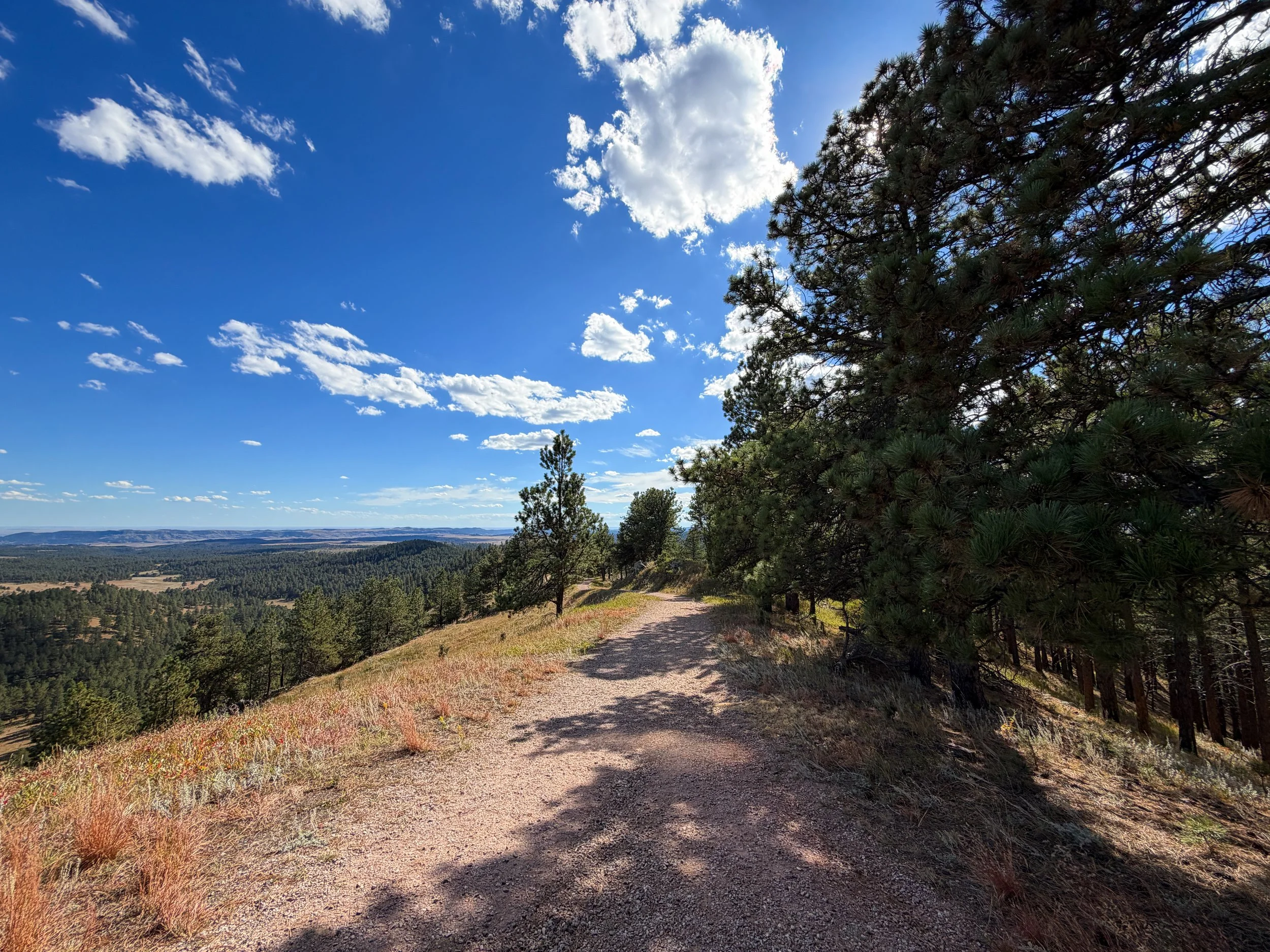 Rankin Ridge Trail Wind Cave National Park South Dakota
