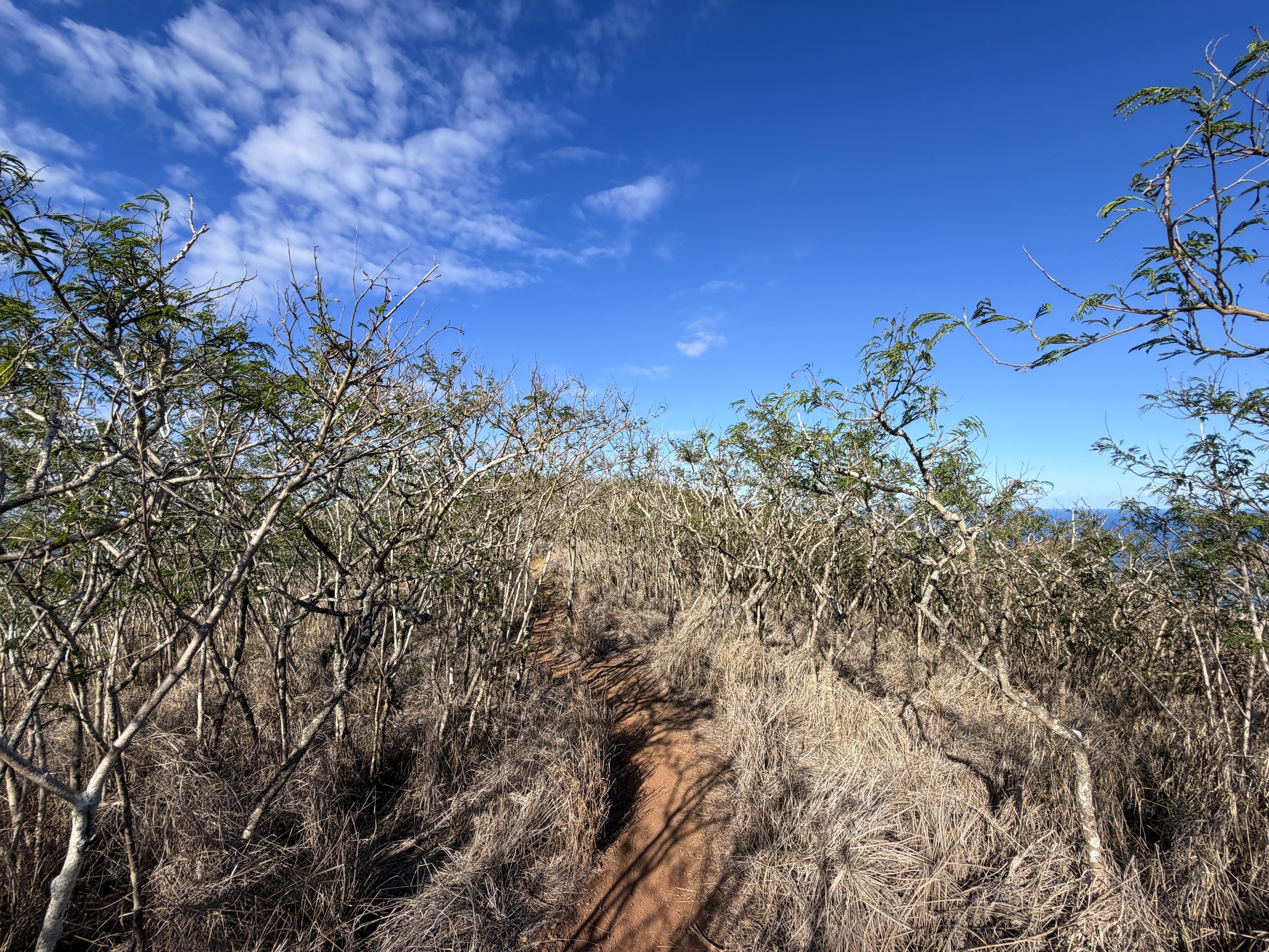 Back Lanikai Pillbox Trail Oahu Hawaii
