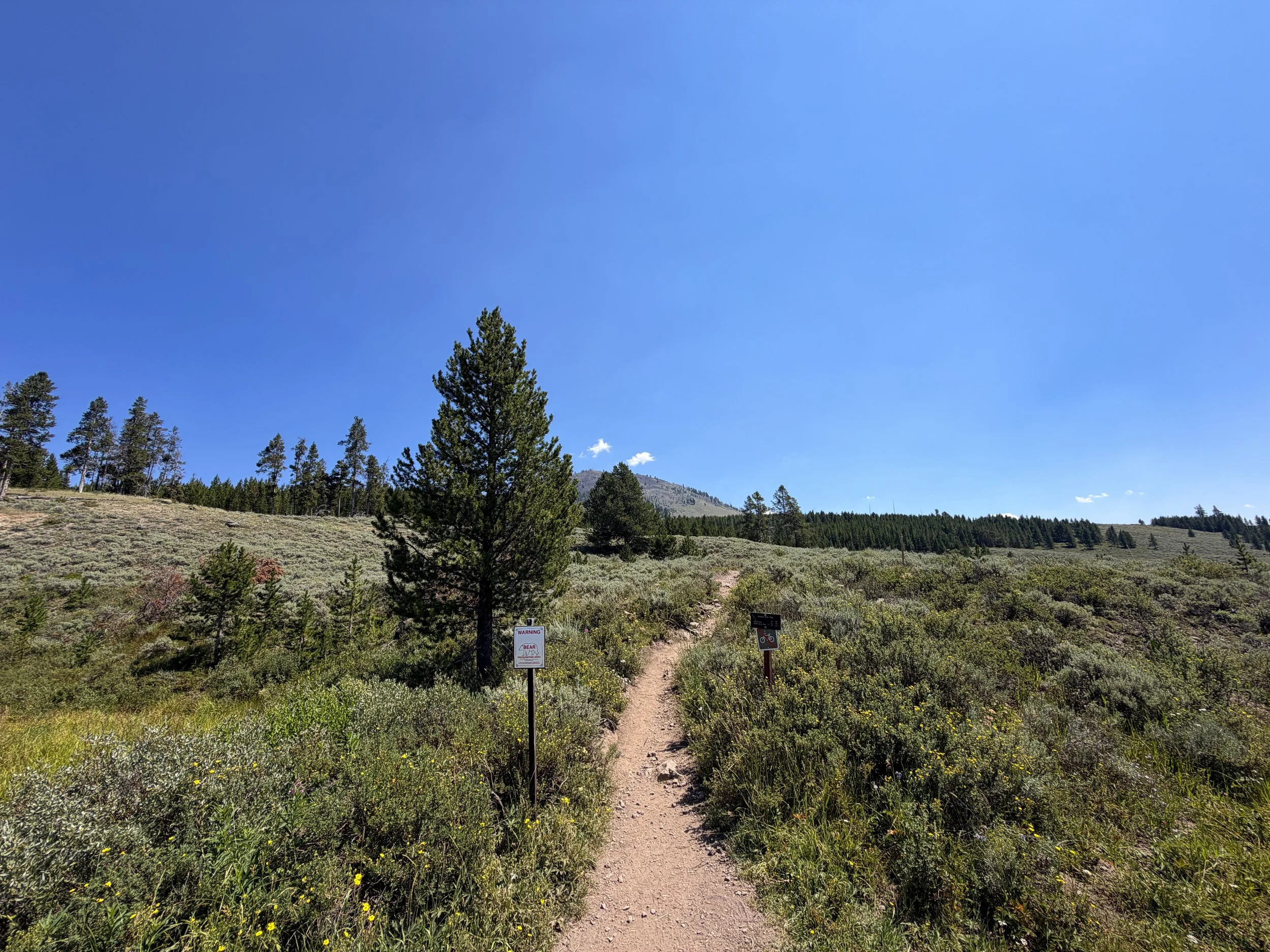 Bunsen Peak Trail Yellowstone National Park Wyoming