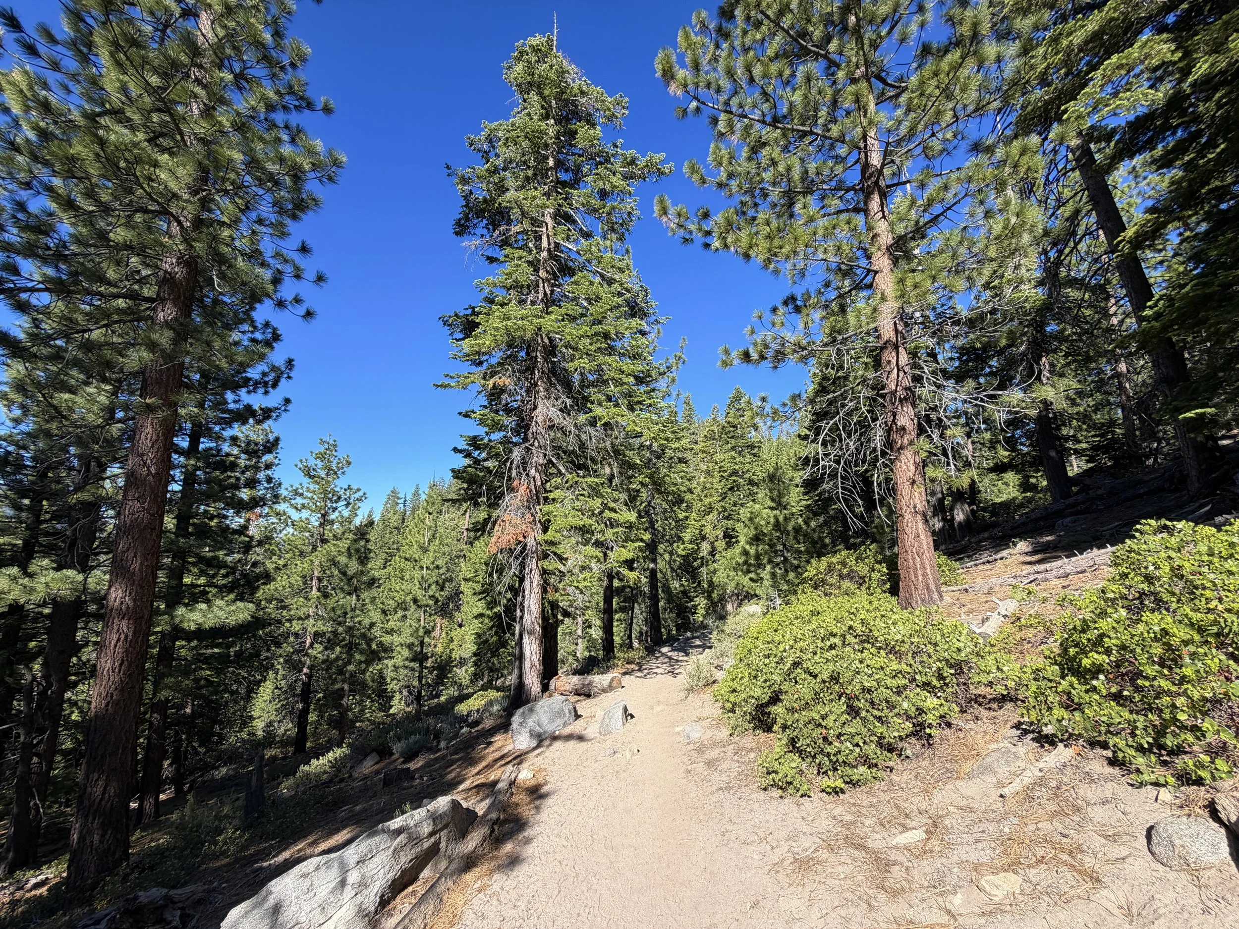 Castle Rock Trail Lake Tahoe Nevada