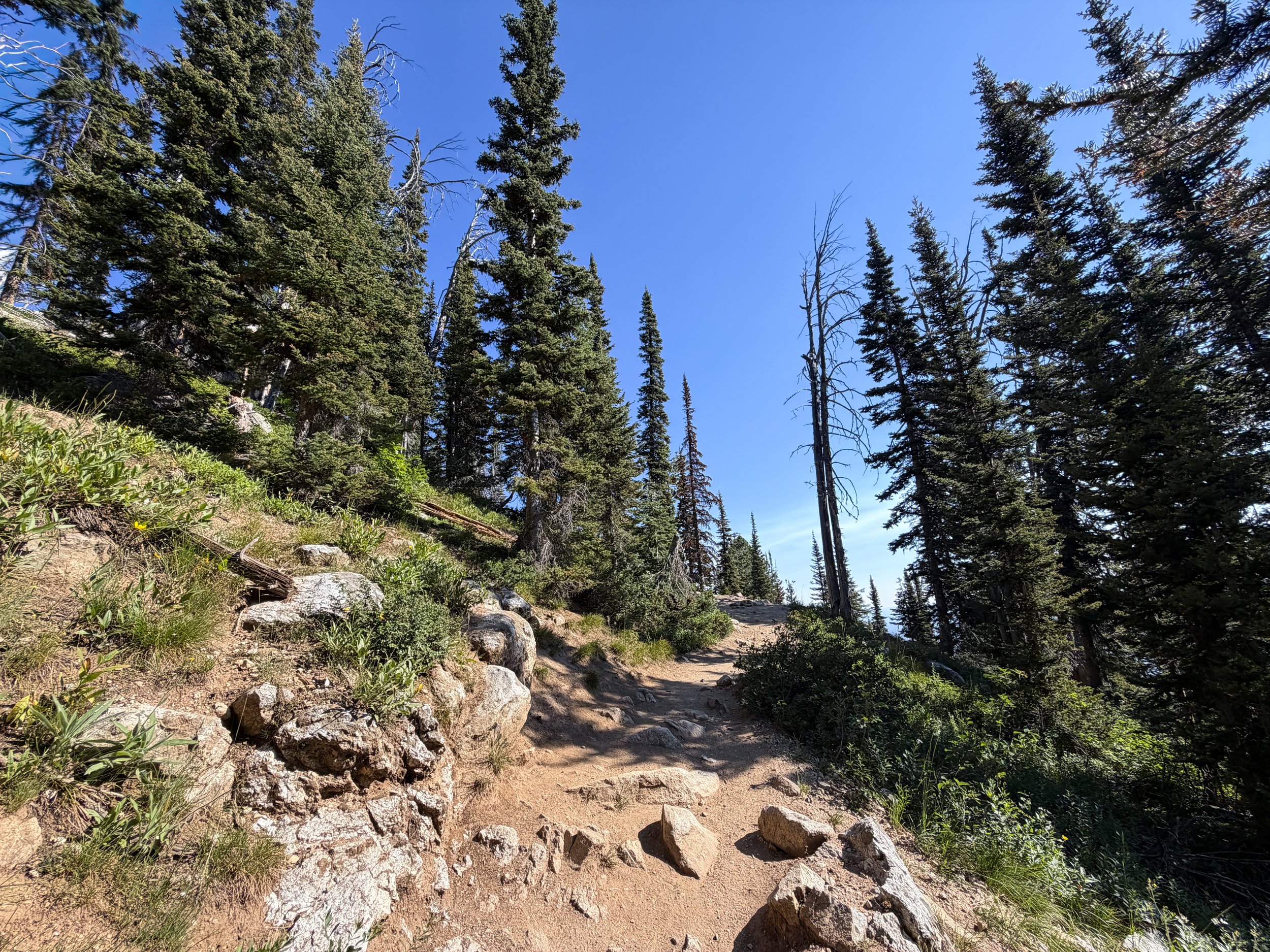Delta Lake Trail via Lupine Meadows Grand Teton National Park Wyoming