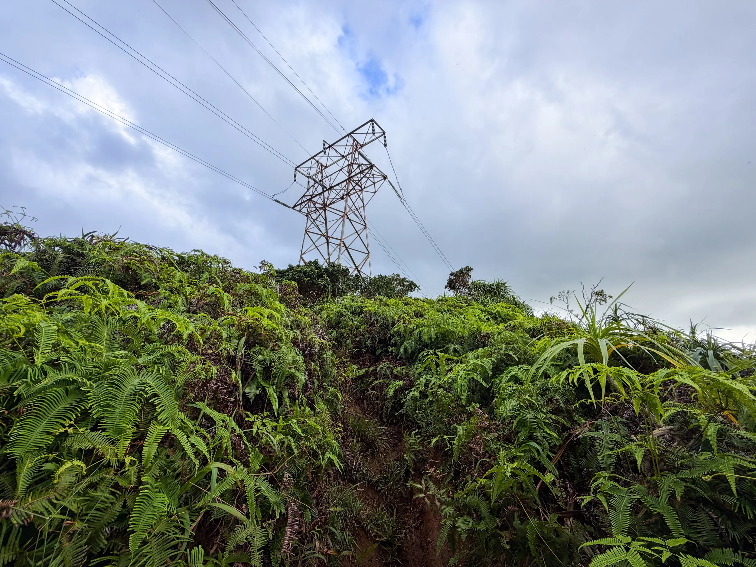 Kaau Crater Loop Hike Oahu Hawaii