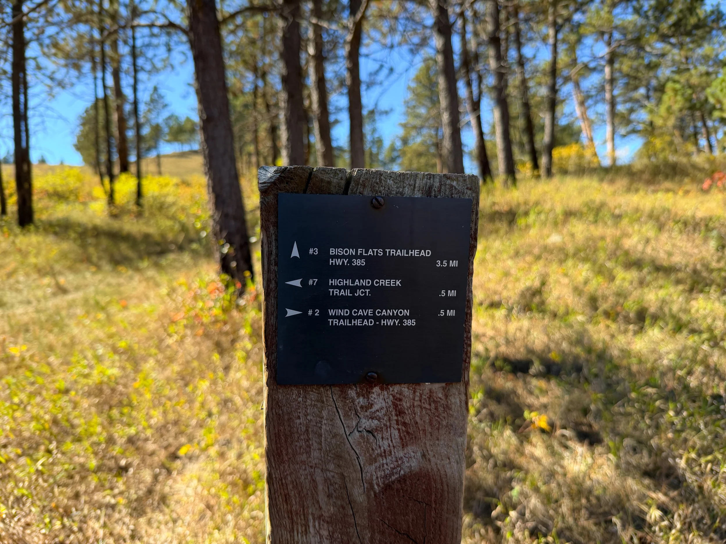 Wind Cave Canyon Hike Wind Cave National Park South Dakota