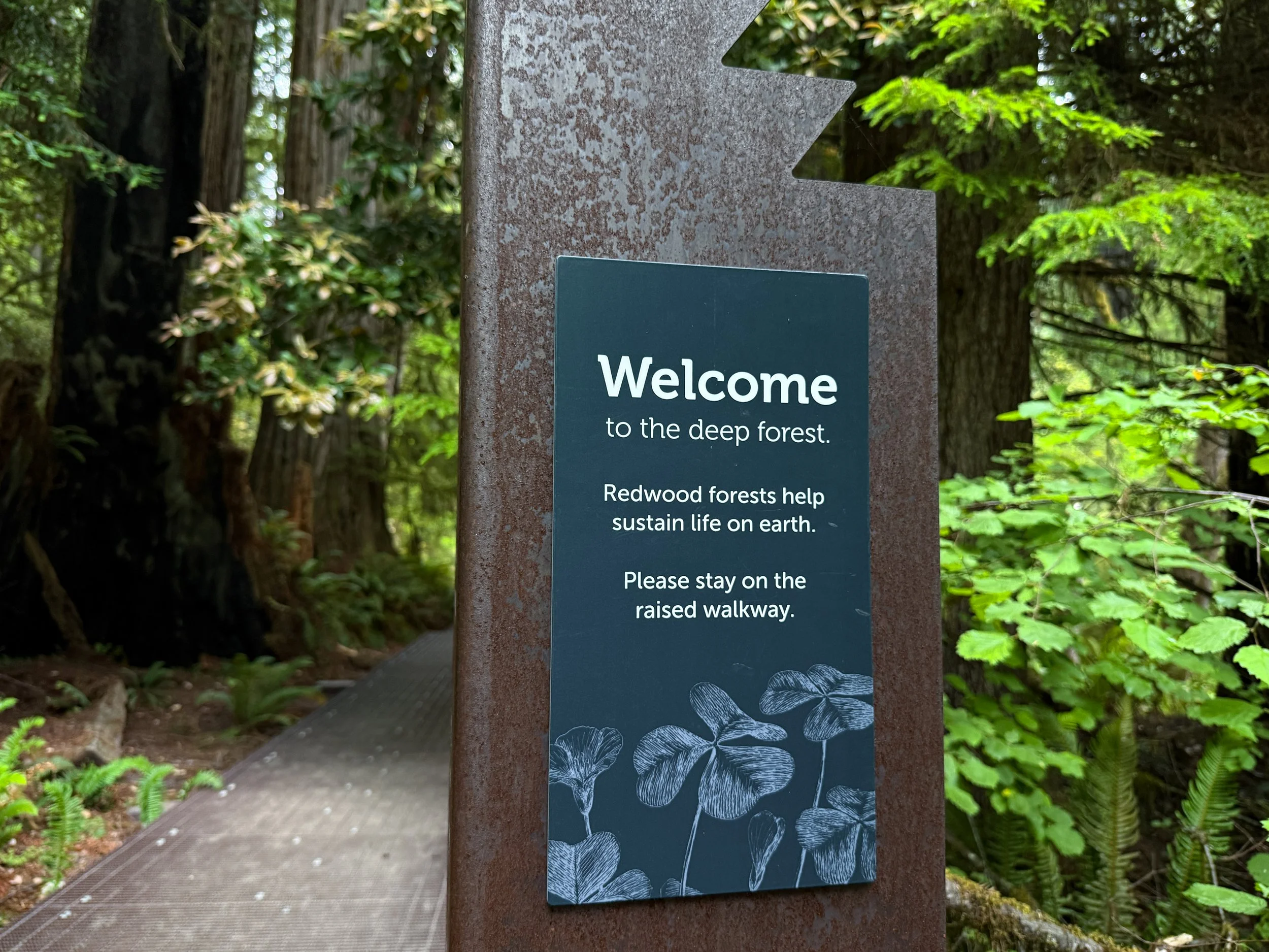 Grove of the Titans Trail Boardwalk Jedediah Smith Redwoods State Park California