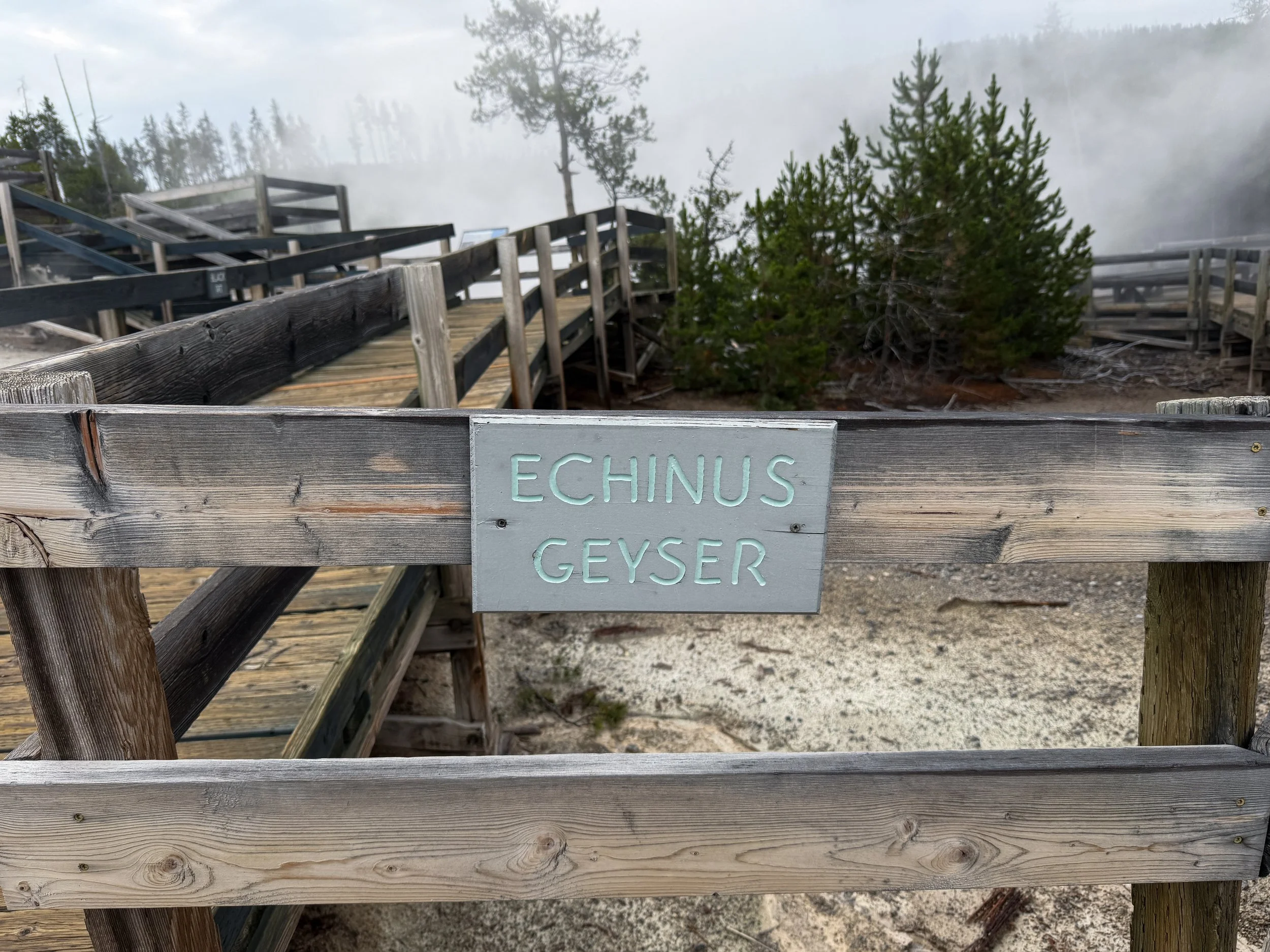 Echinus Geyser Norris Geyser Basin Yellowstone National Park Wyoming