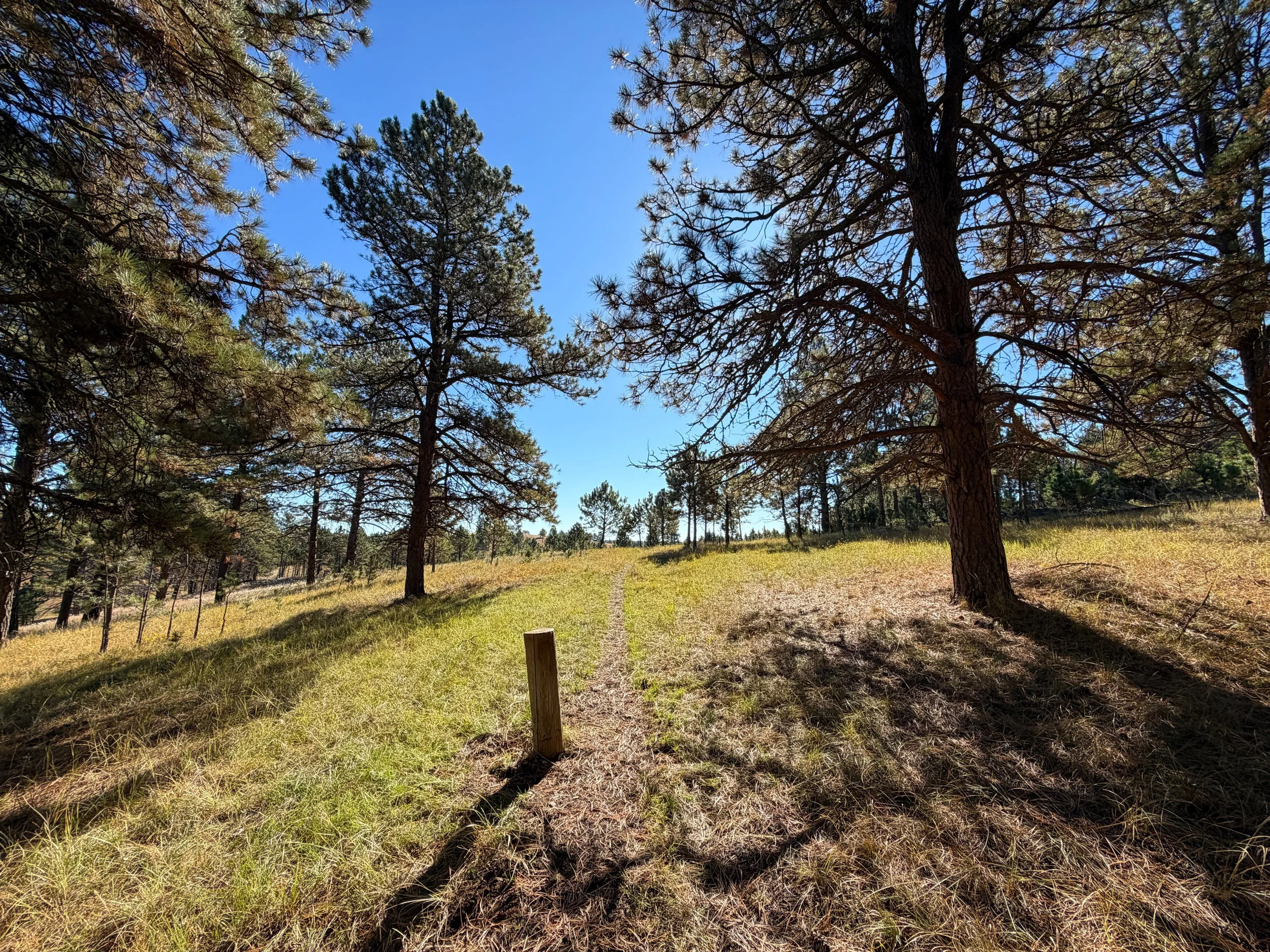 Sanctuary Hike Wind Cave National Park South Dakota
