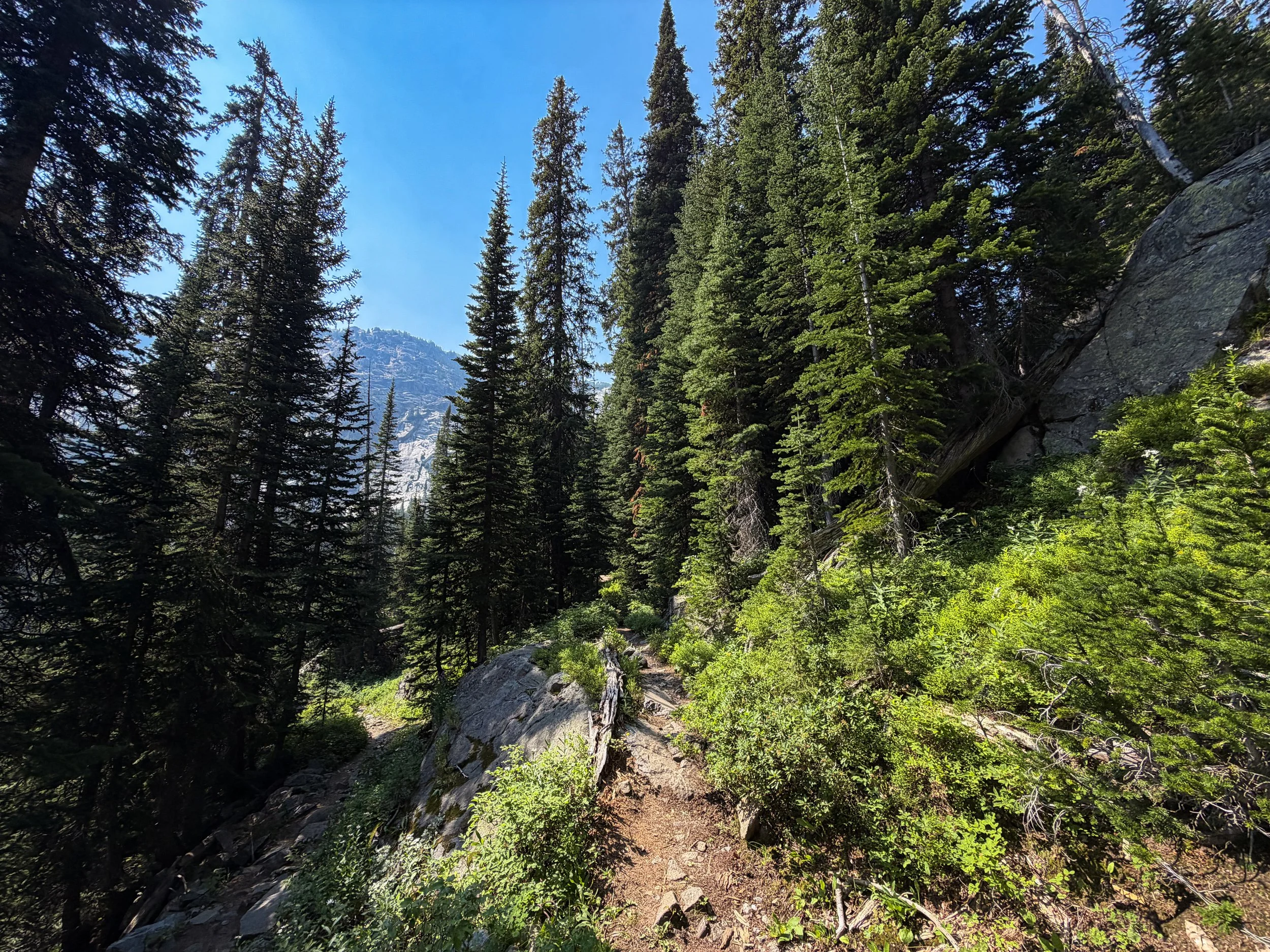 East Rosebud Trail The Beaten Path Beartooth Mountains Montana