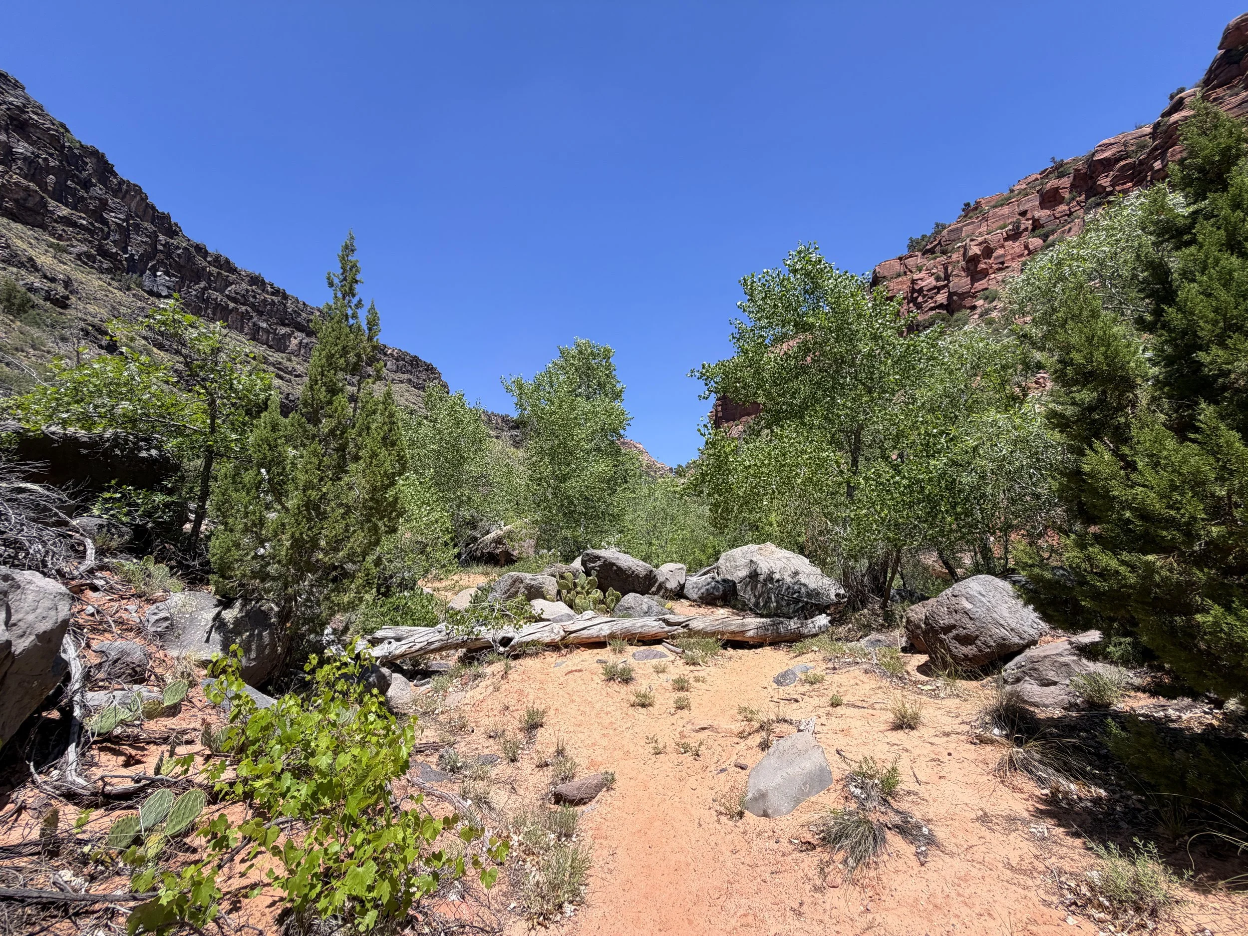 Grapevine Hike to Left Fork Falls Zion National Park Utah