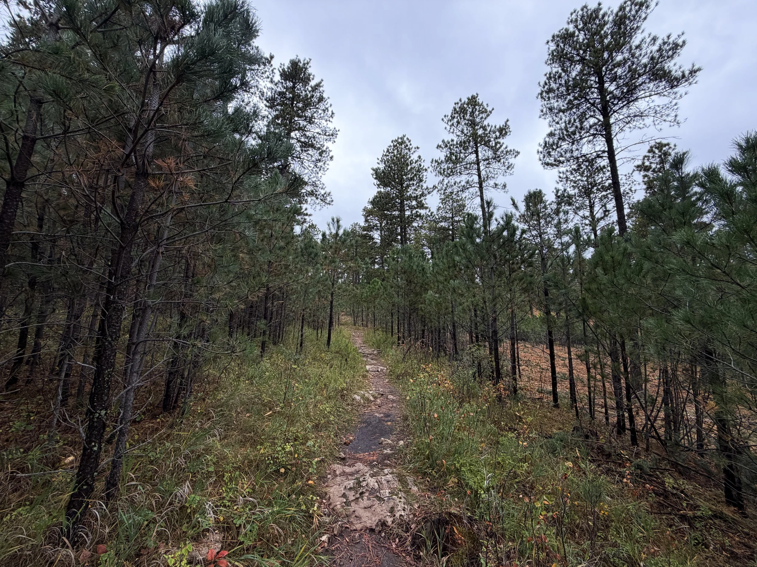 Buzzards Roost Hike Black Hills South Dakota