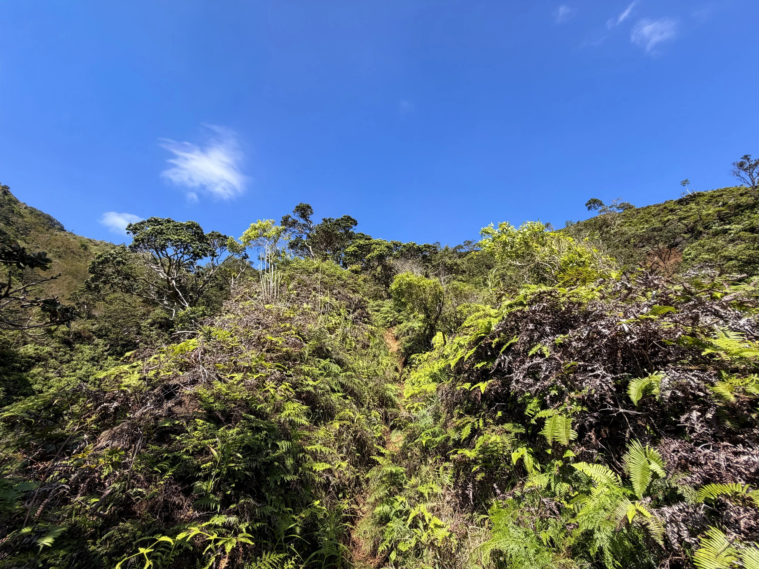 Kulanaahane Ridge Hike Oahu Hawaii