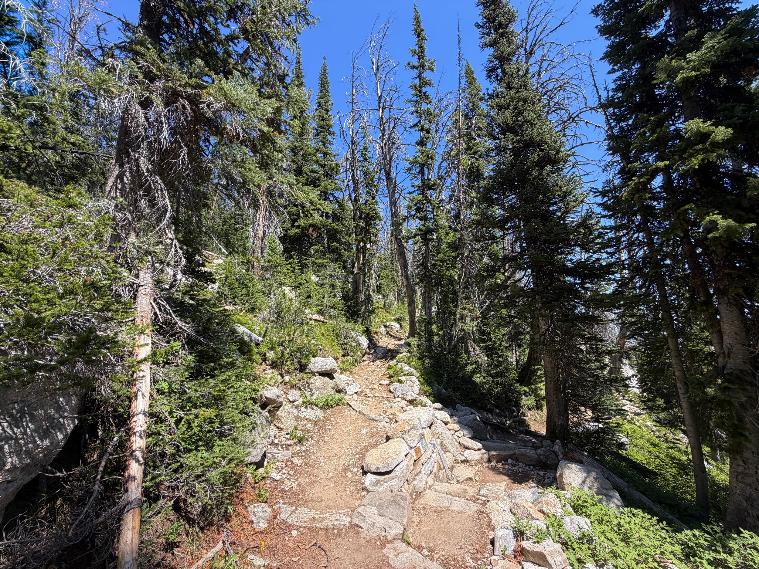 Surprise and Amphitheater Lakes Hike Grand Teton National Park Wyoming
