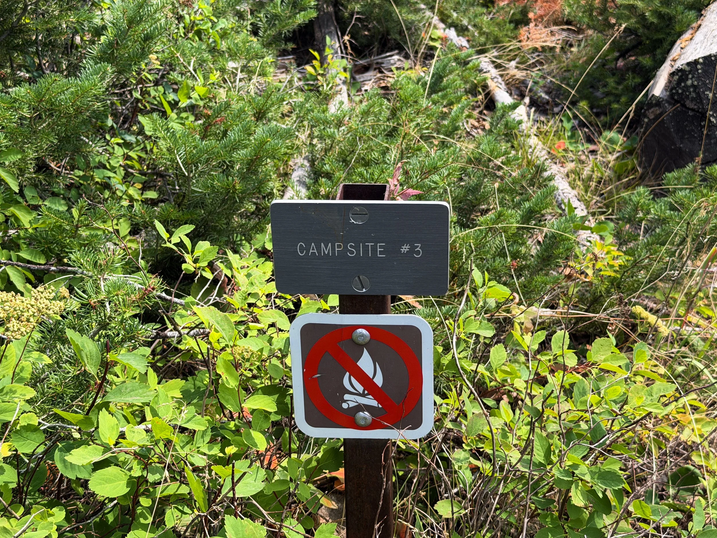 Phelps Lake Loop Trail Campsites Grand Teton National Park Wyoming