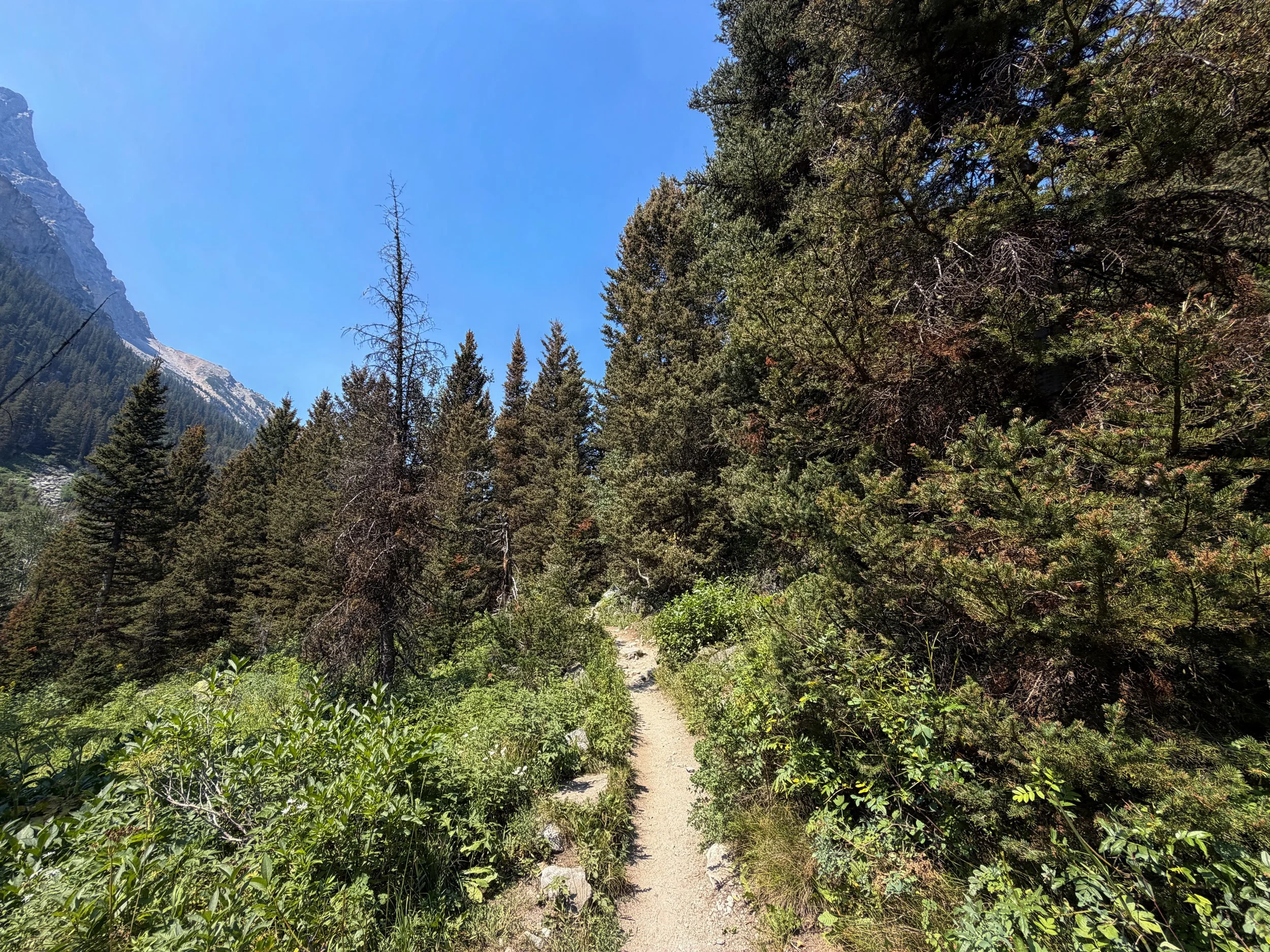 Cascade Canyon Trail Grand Teton National Park Wyoming