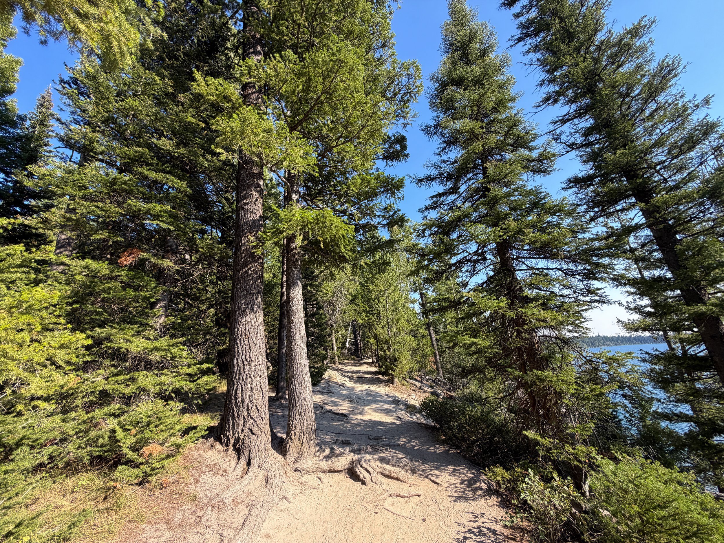 Jenny Lake Loop Trail Grand Teton National Park Wyoming