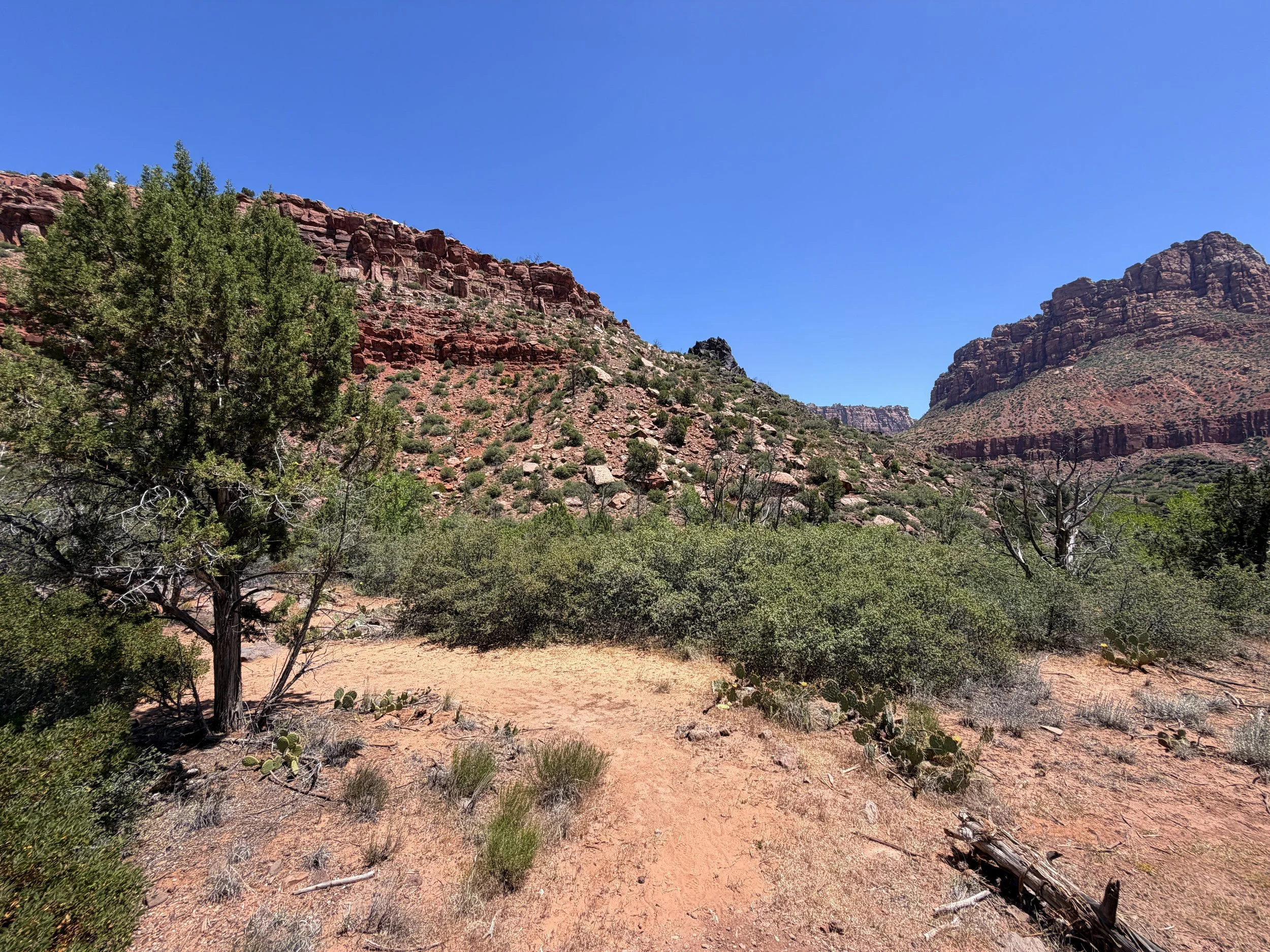 Grapevine Trail to Left Fork Falls Zion National Park Utah