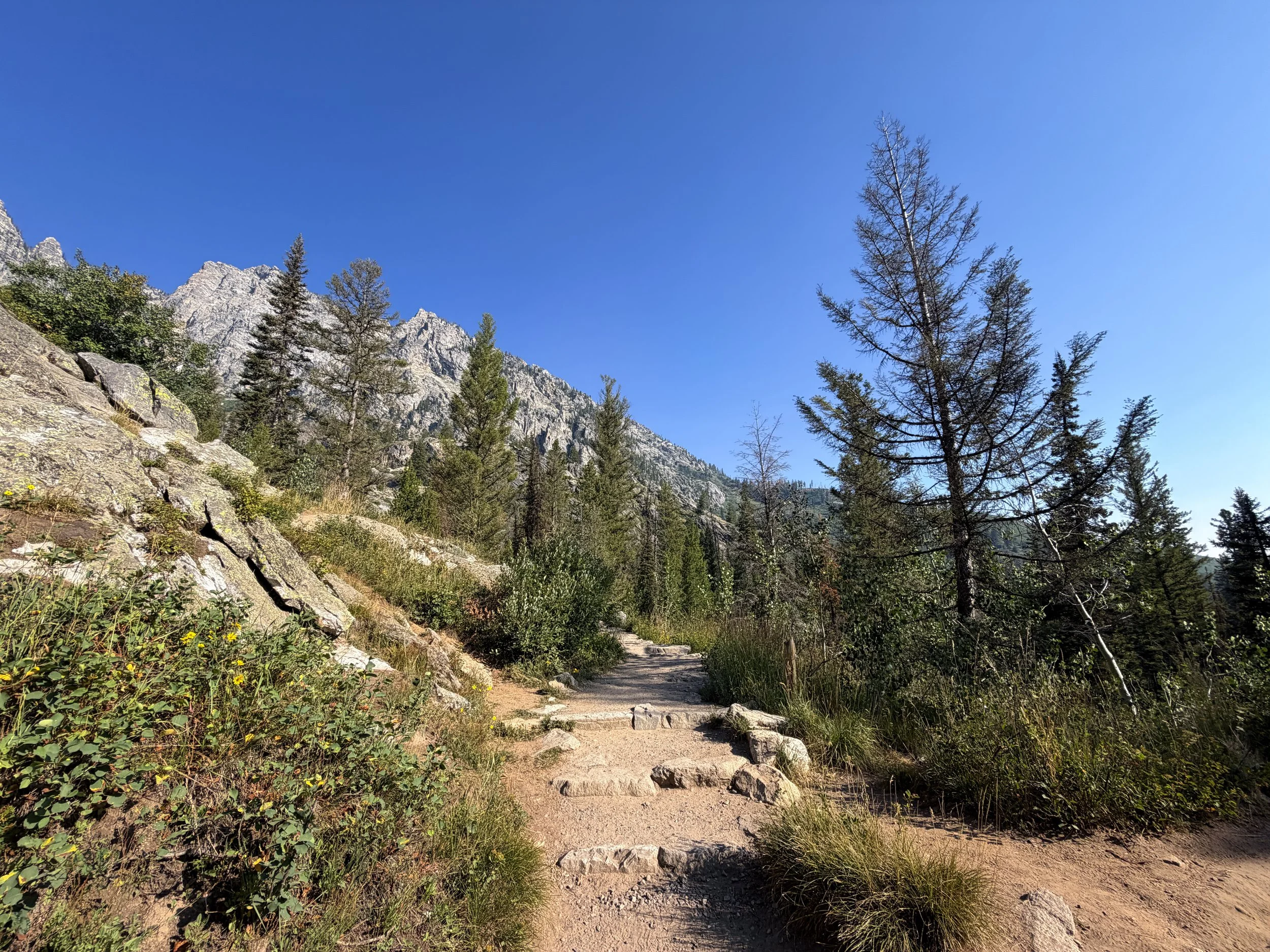 Hidden Falls Trail Grand Teton National Park Wyoming