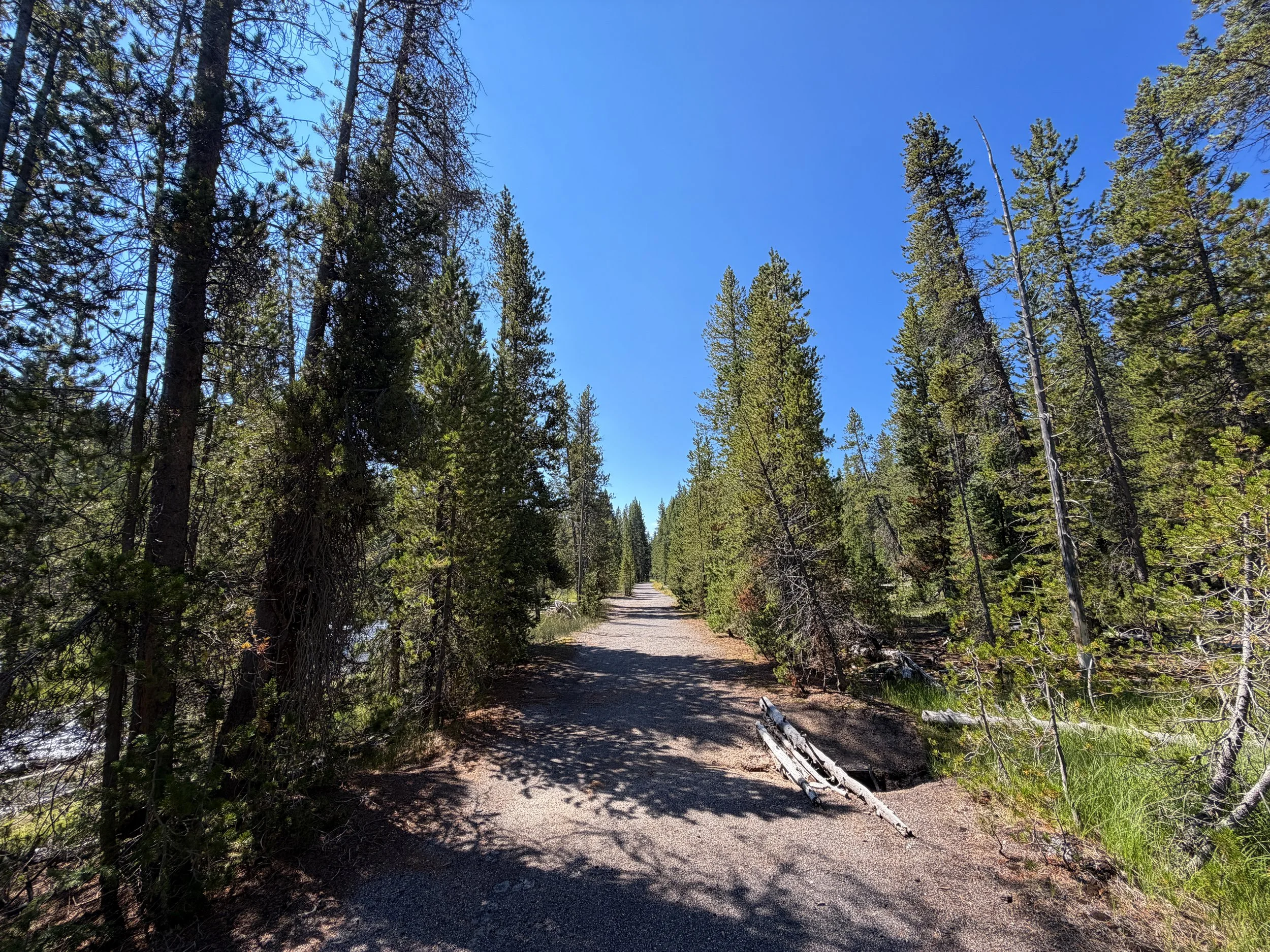 Lone Star Geyser Trail Yellowstone National Park Wyoming