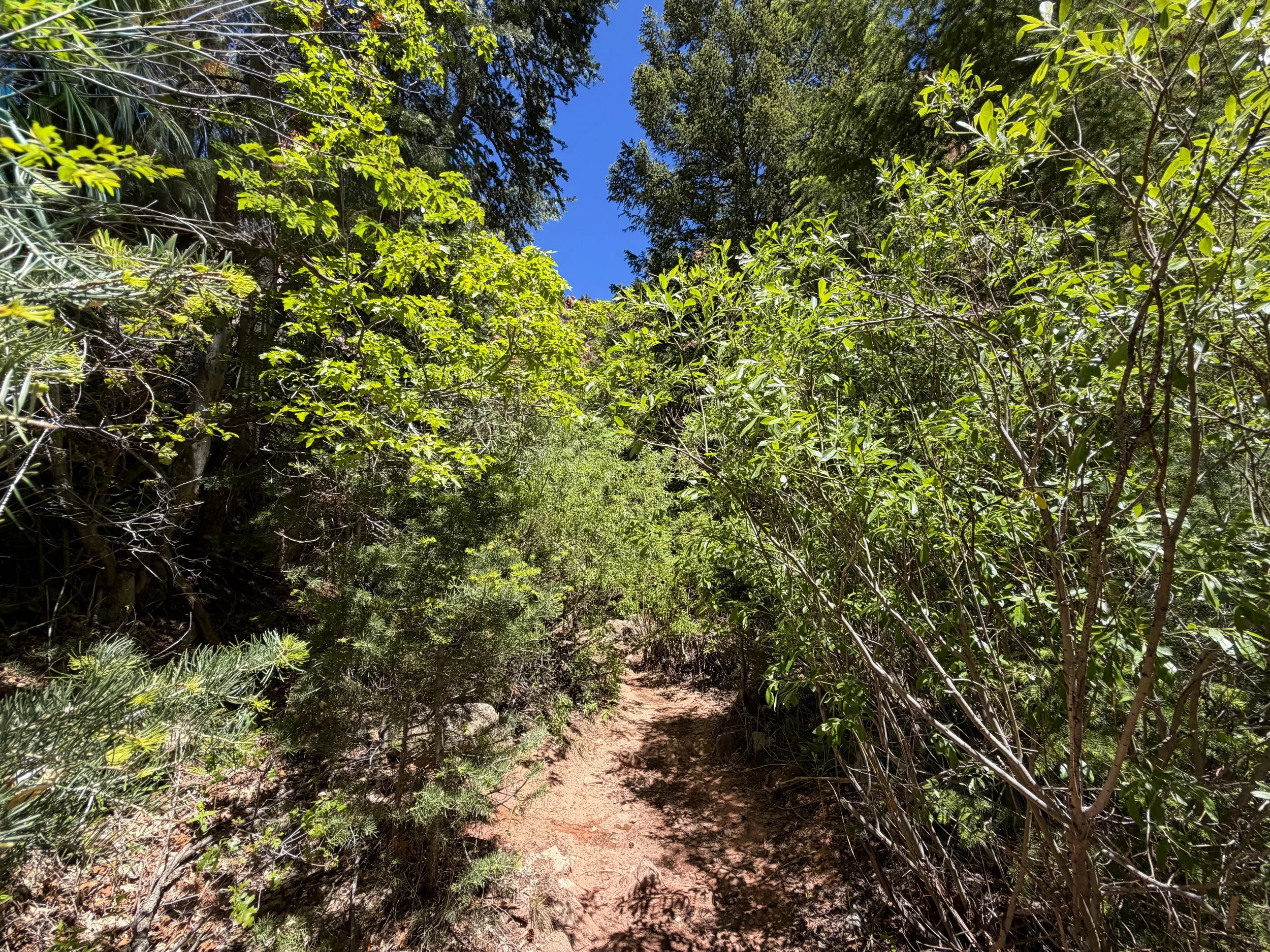 Kanarra Falls Trail Kanarraville Utah