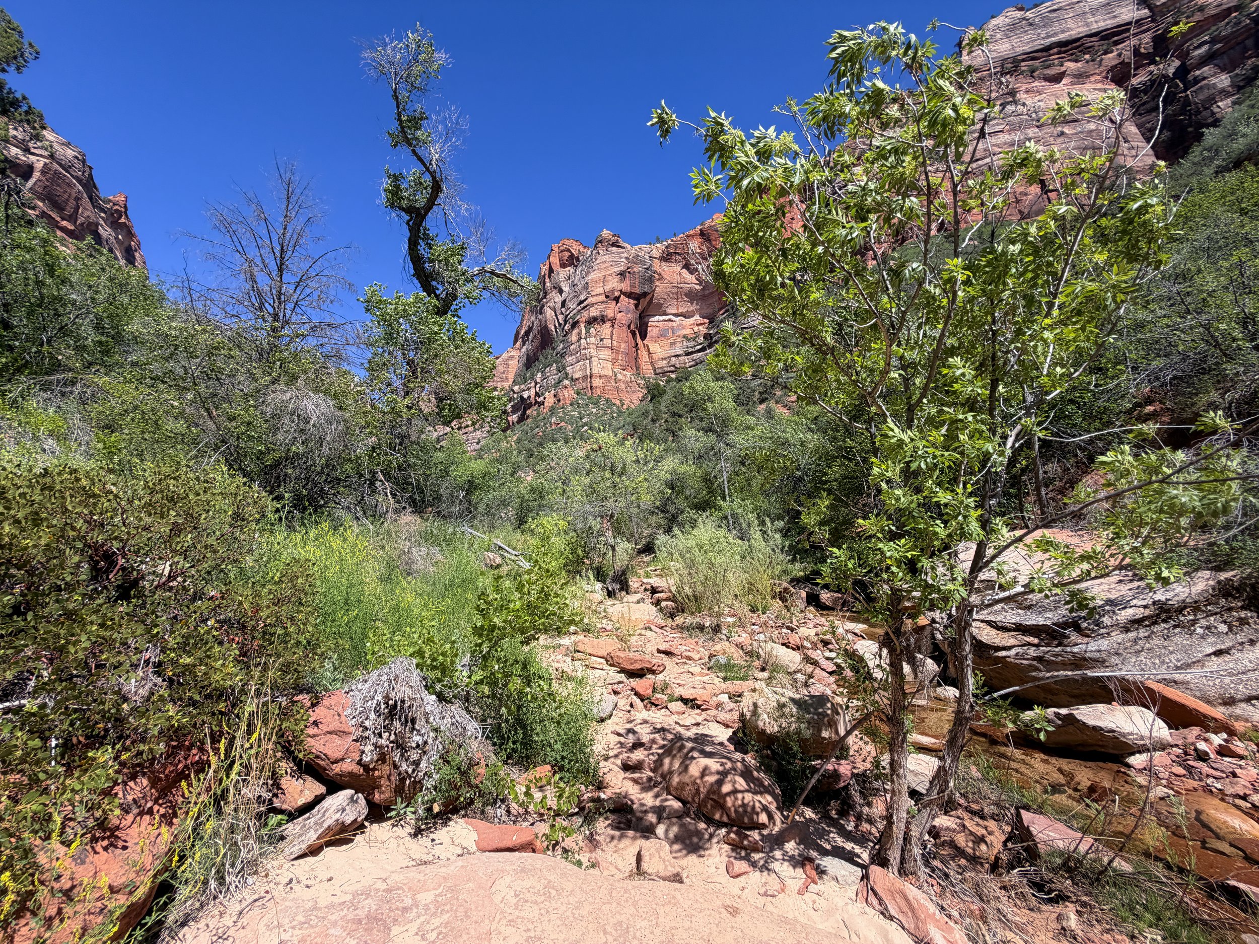 Subway Trail Left Fork North Creek Zion National Park Utah