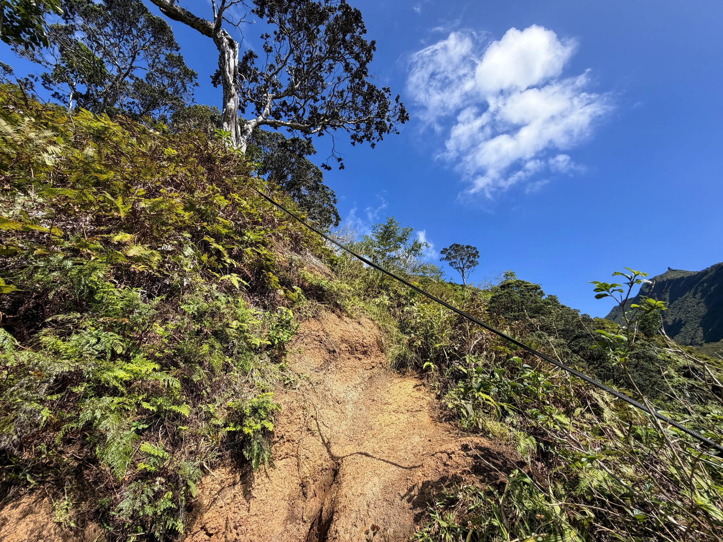 Kulanaahane Trail Ropes Oahu Hawaii
