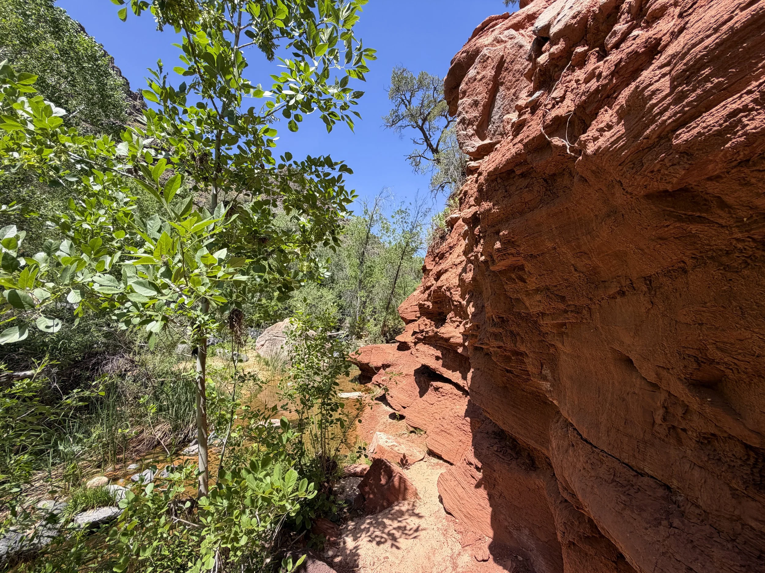 Grapevine Trail to Left Fork Falls Zion National Park Utah