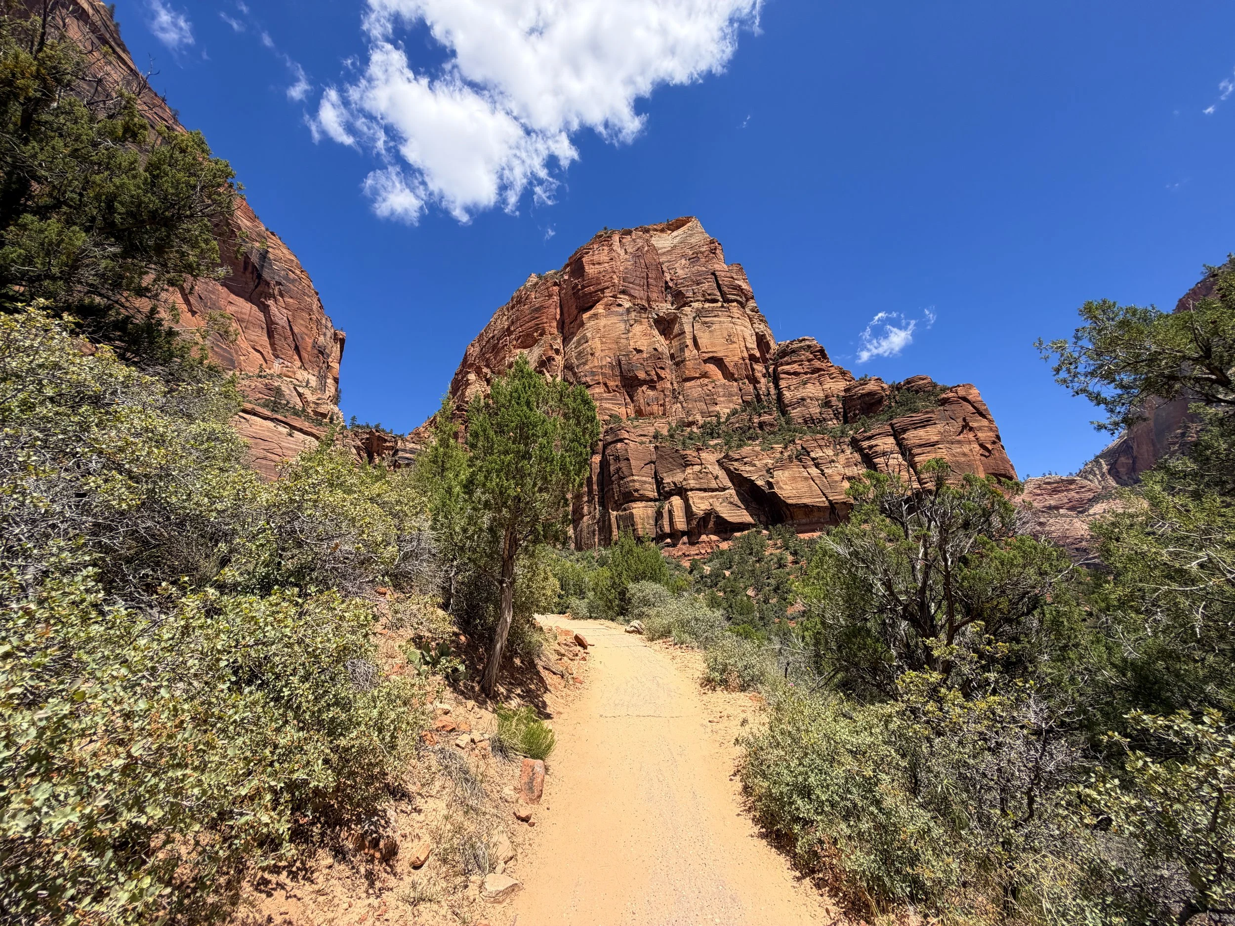 Angels Landing Hike Zion National Park Utah