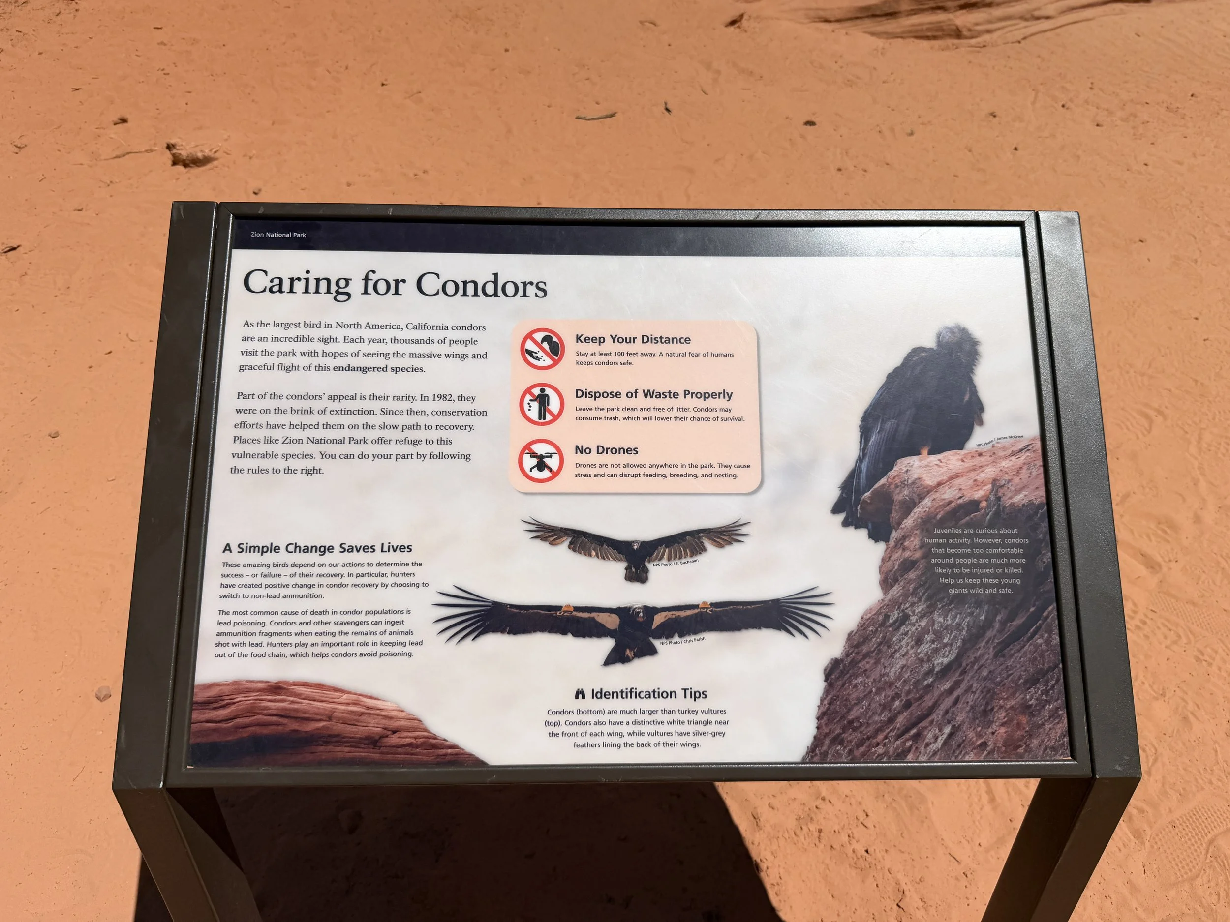 Angels Landing Trail Scout Lookout Zion National Park Utah