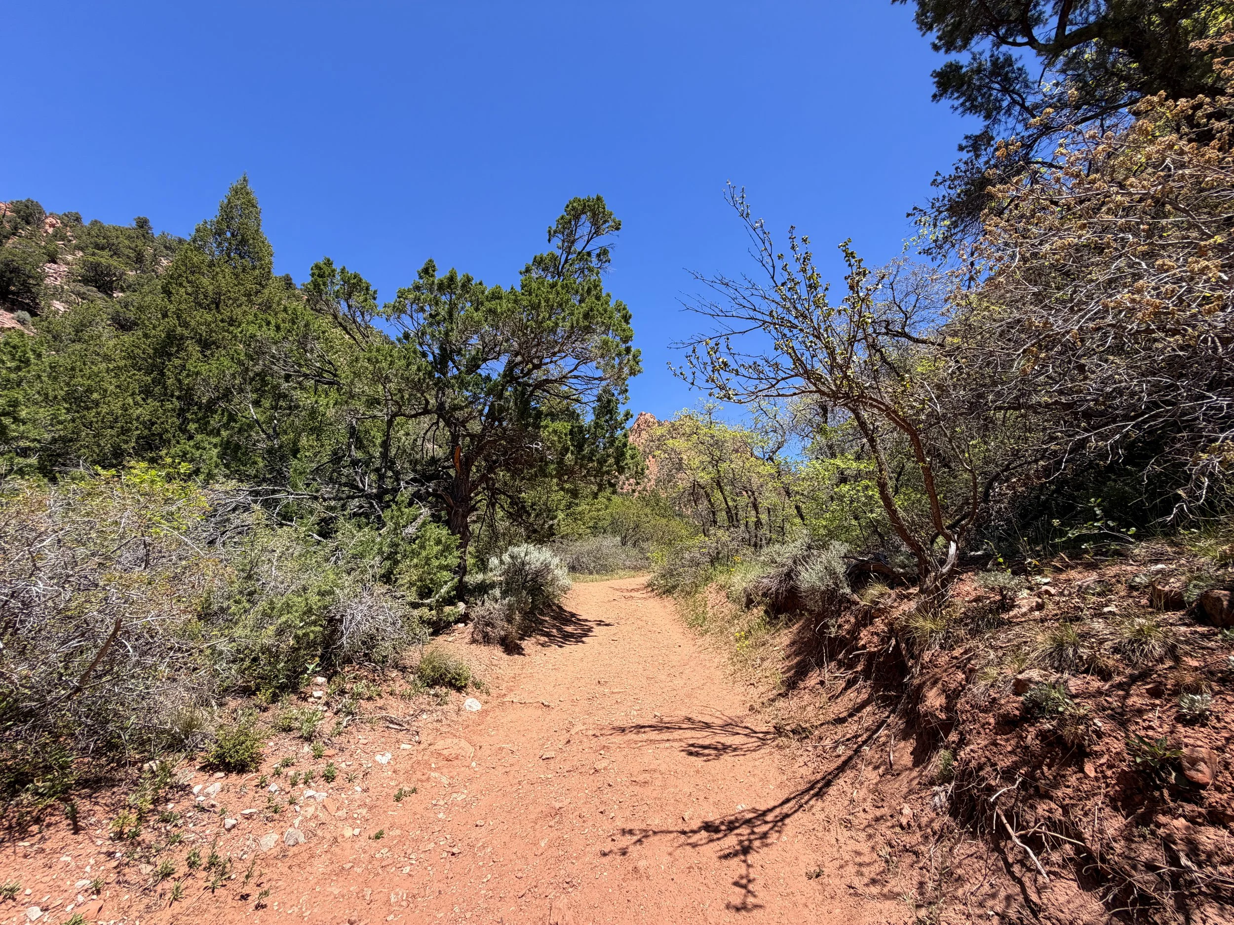 Kanarraville Falls Trail Kanarraville Utah