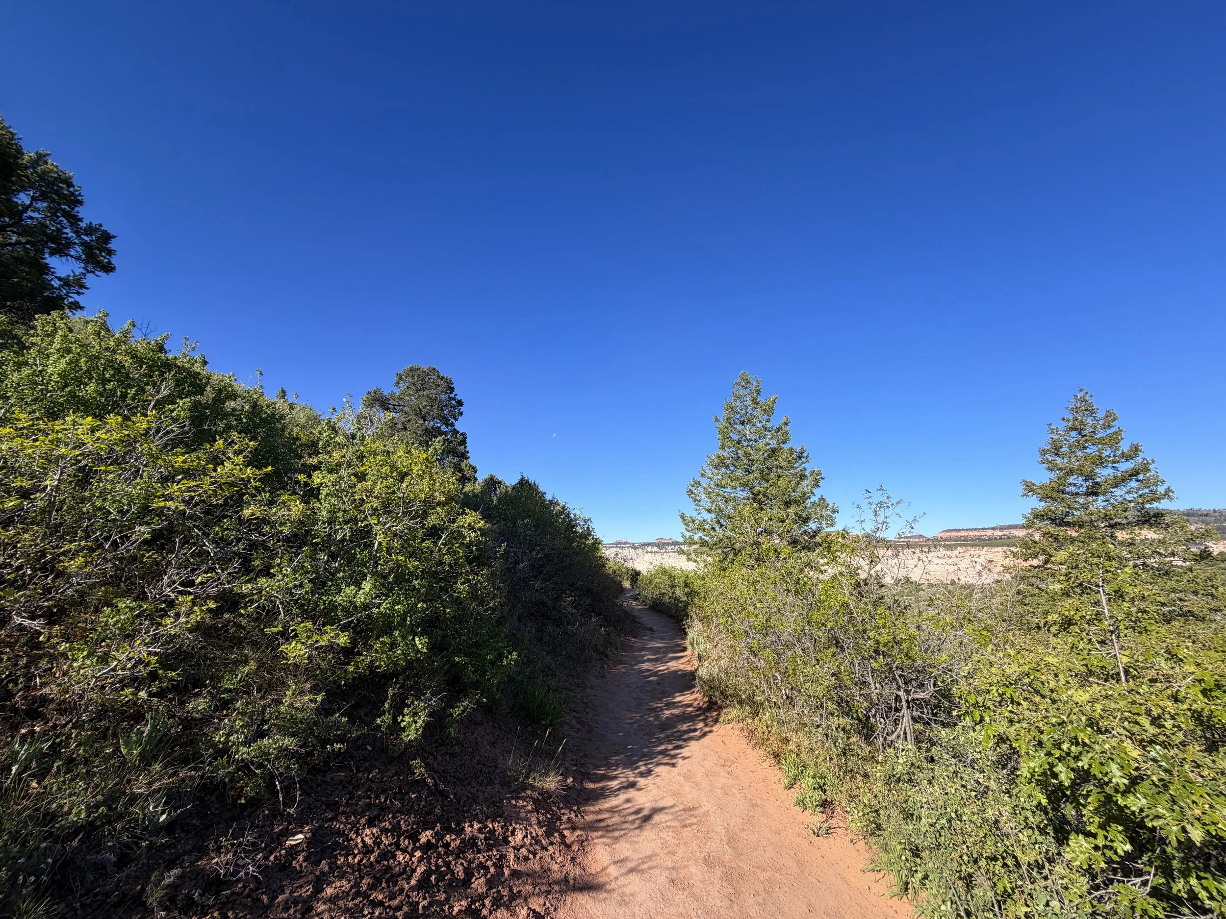 East Mesa Trail to Observation Point Trail Zion National Park Utah