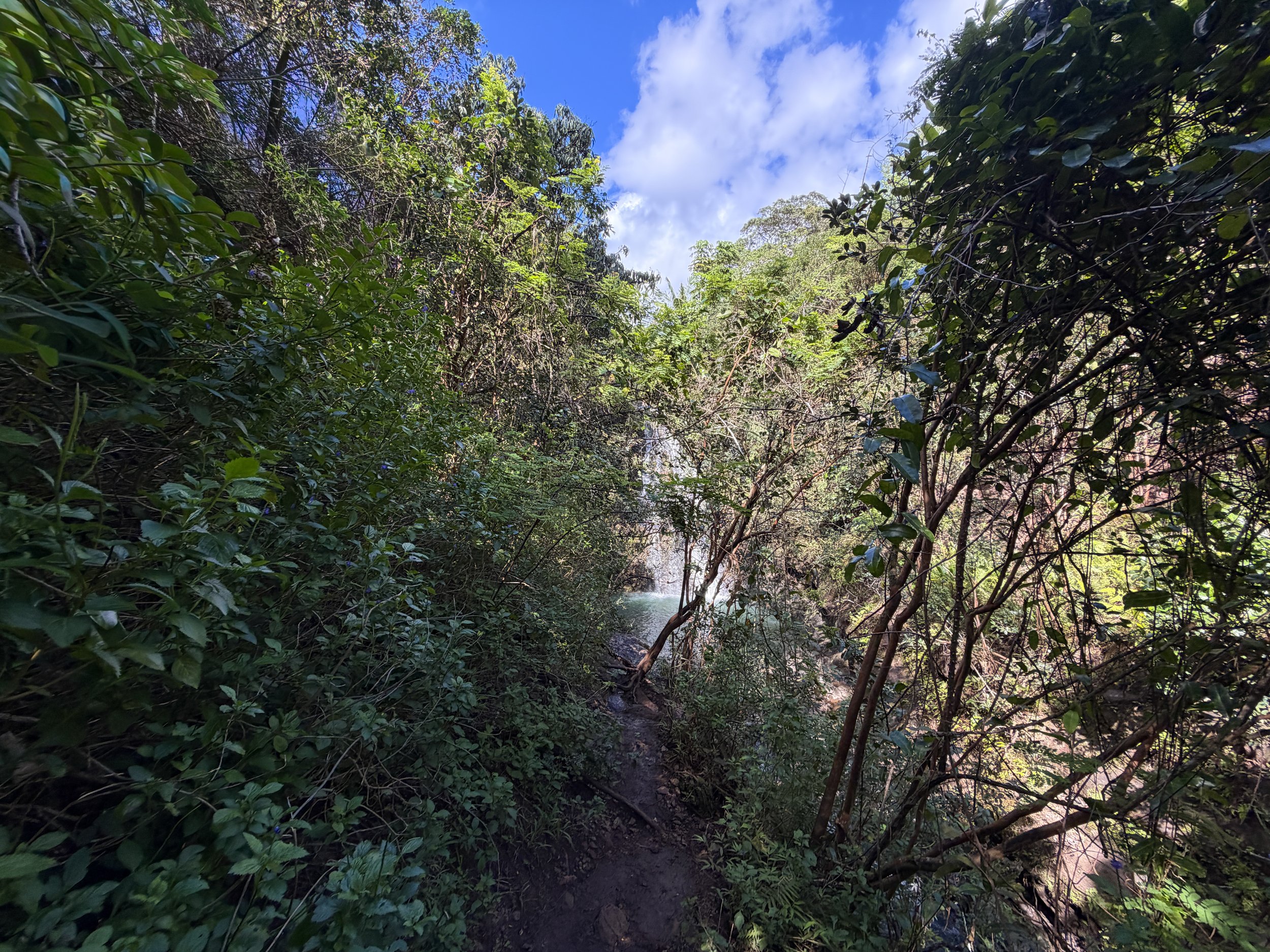 Waimano Falls Trail Oahu Hawaii