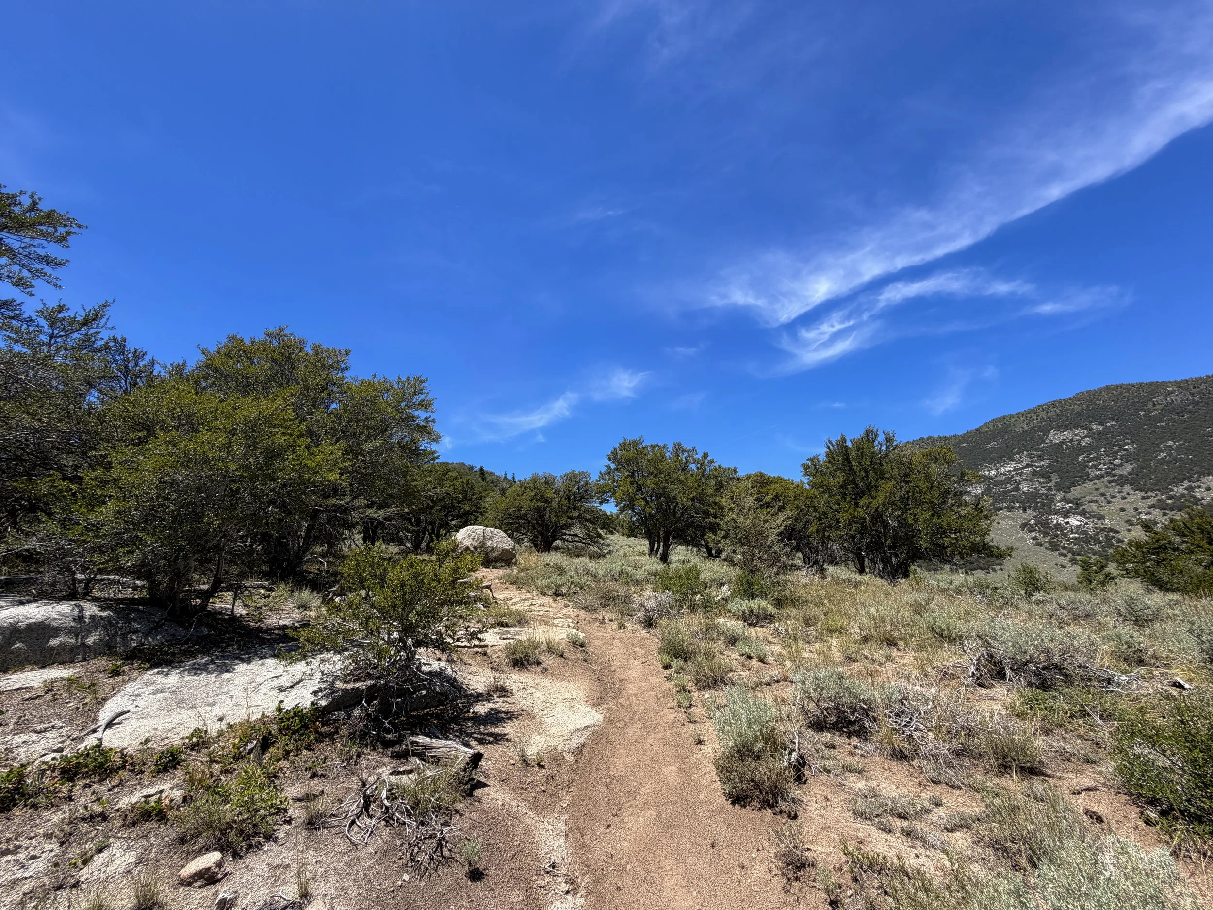 Serviceberry Hike Great Basin National Park Nevada