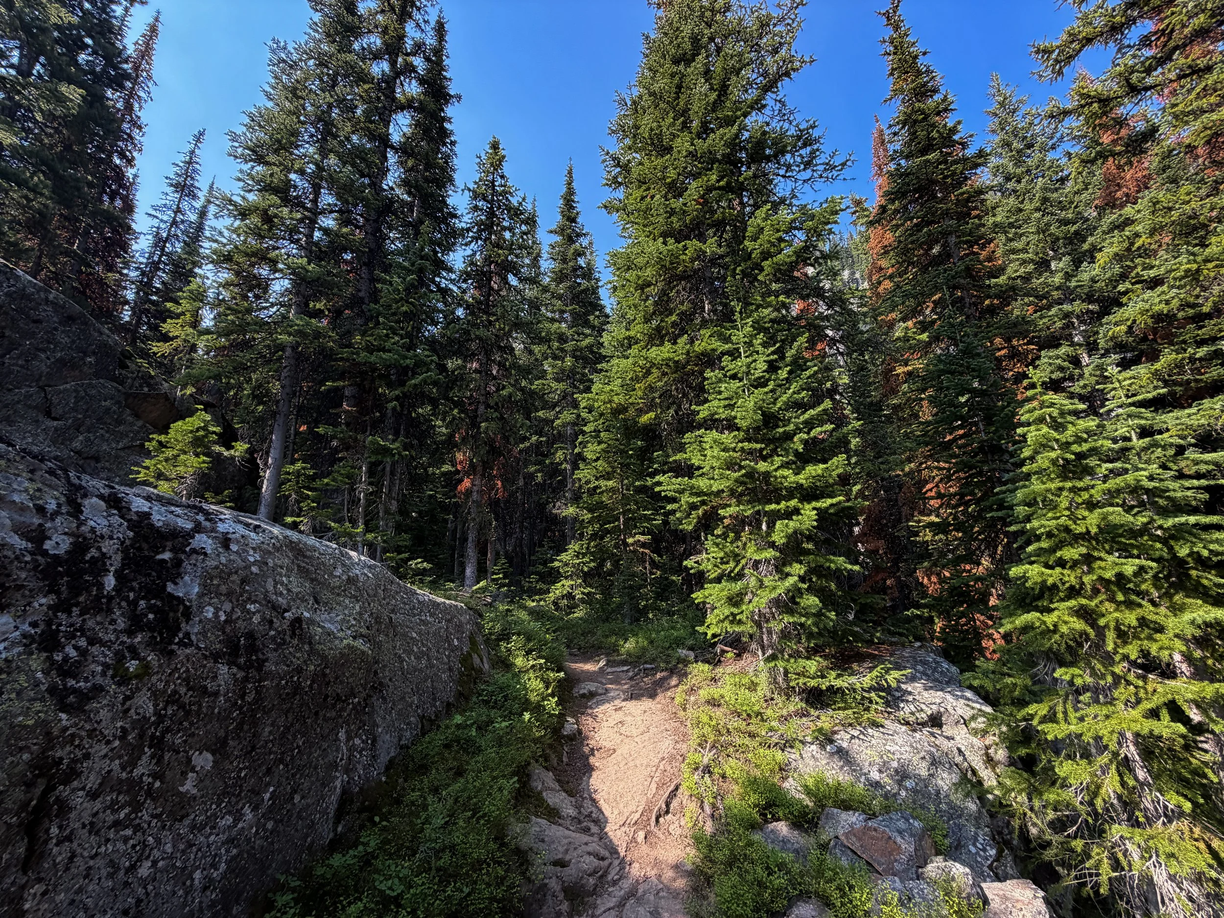 East Rosebud Trail The Beaten Path Beartooth Mountains Montana