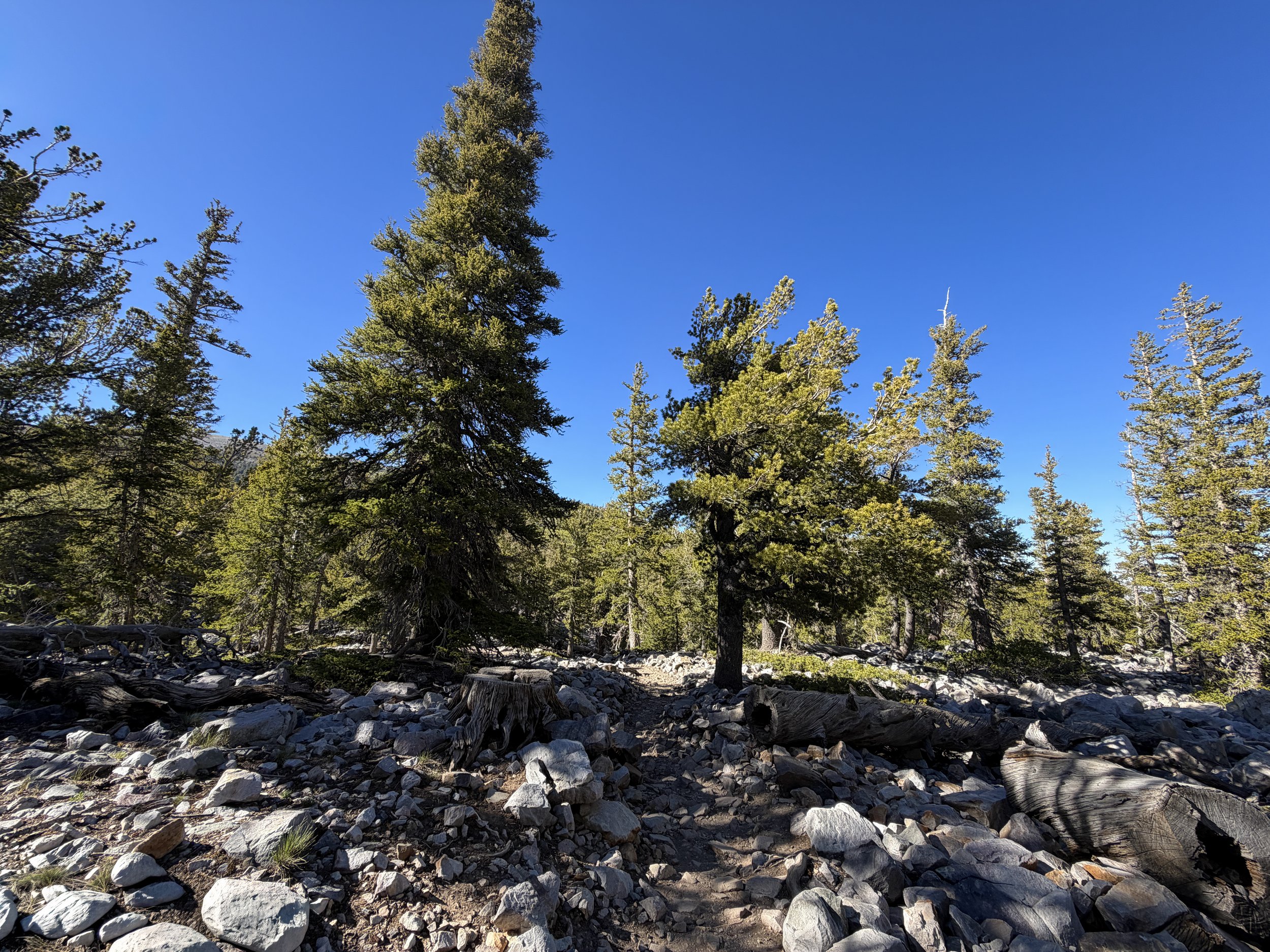 Alpine Lakes Loop Trail Great Basin National Park Nevada
