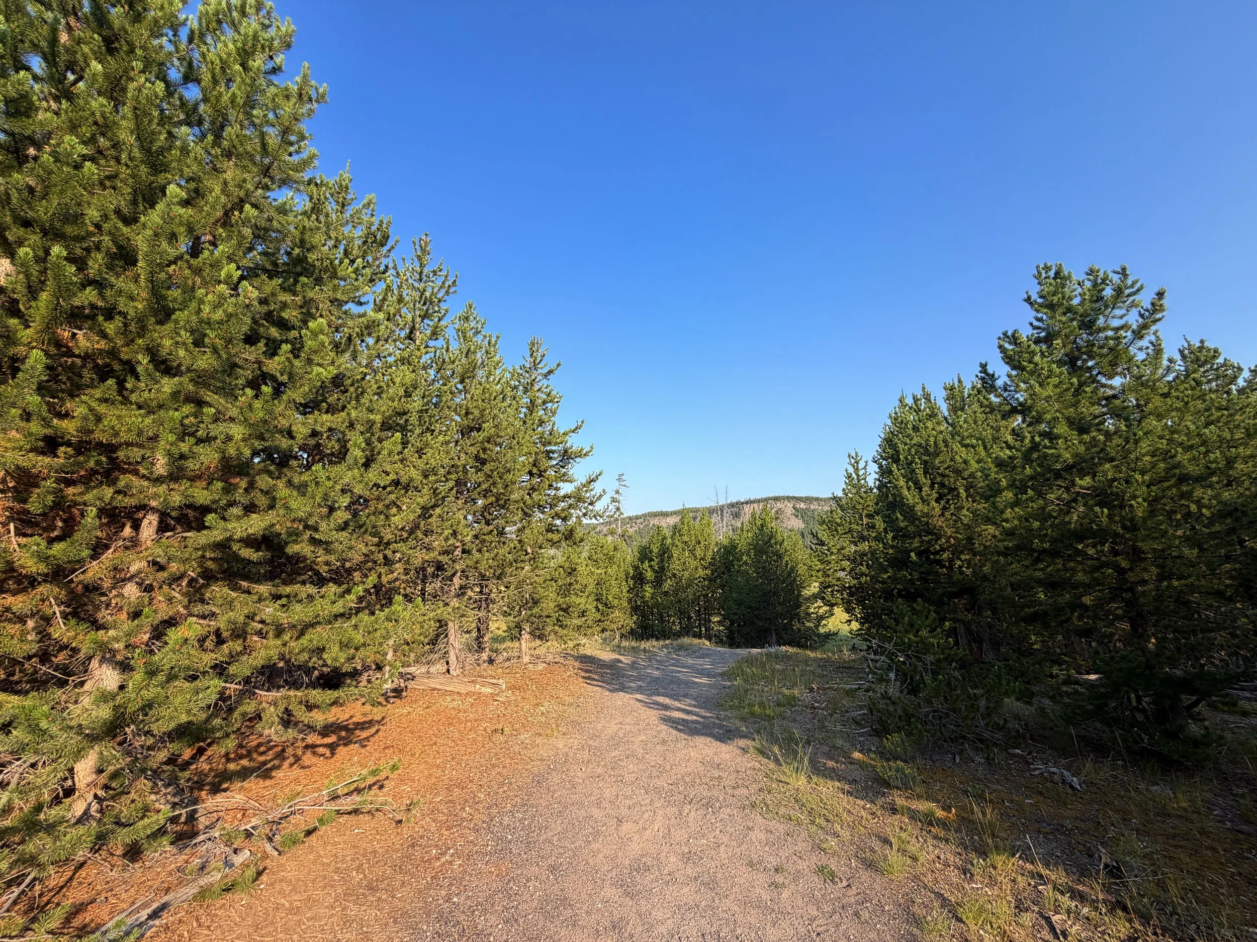 Mystic Falls Trail Yellowstone National Park Wyoming