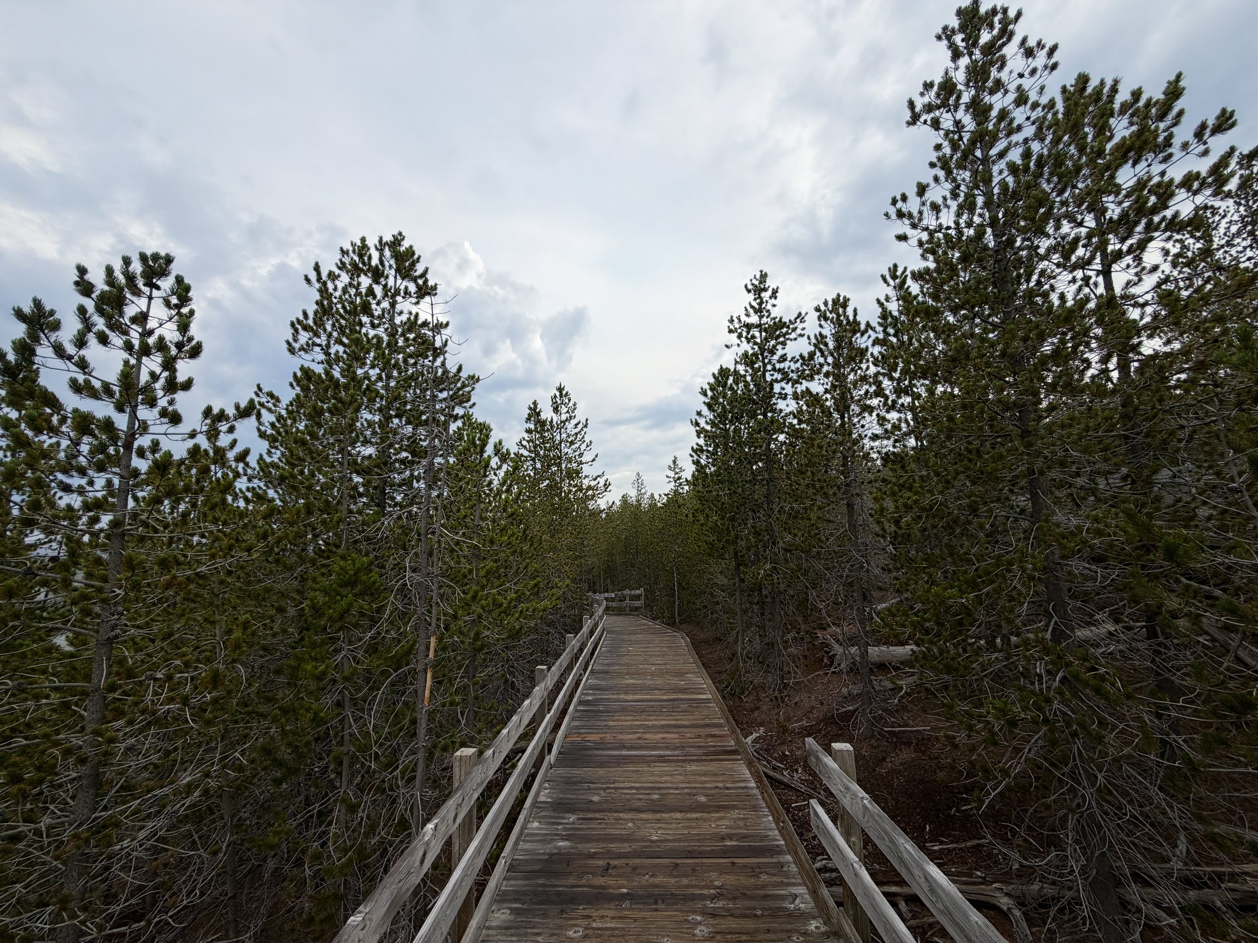 Back Basin Trail Norris Geyser Basin Yellowstone National Park Wyoming