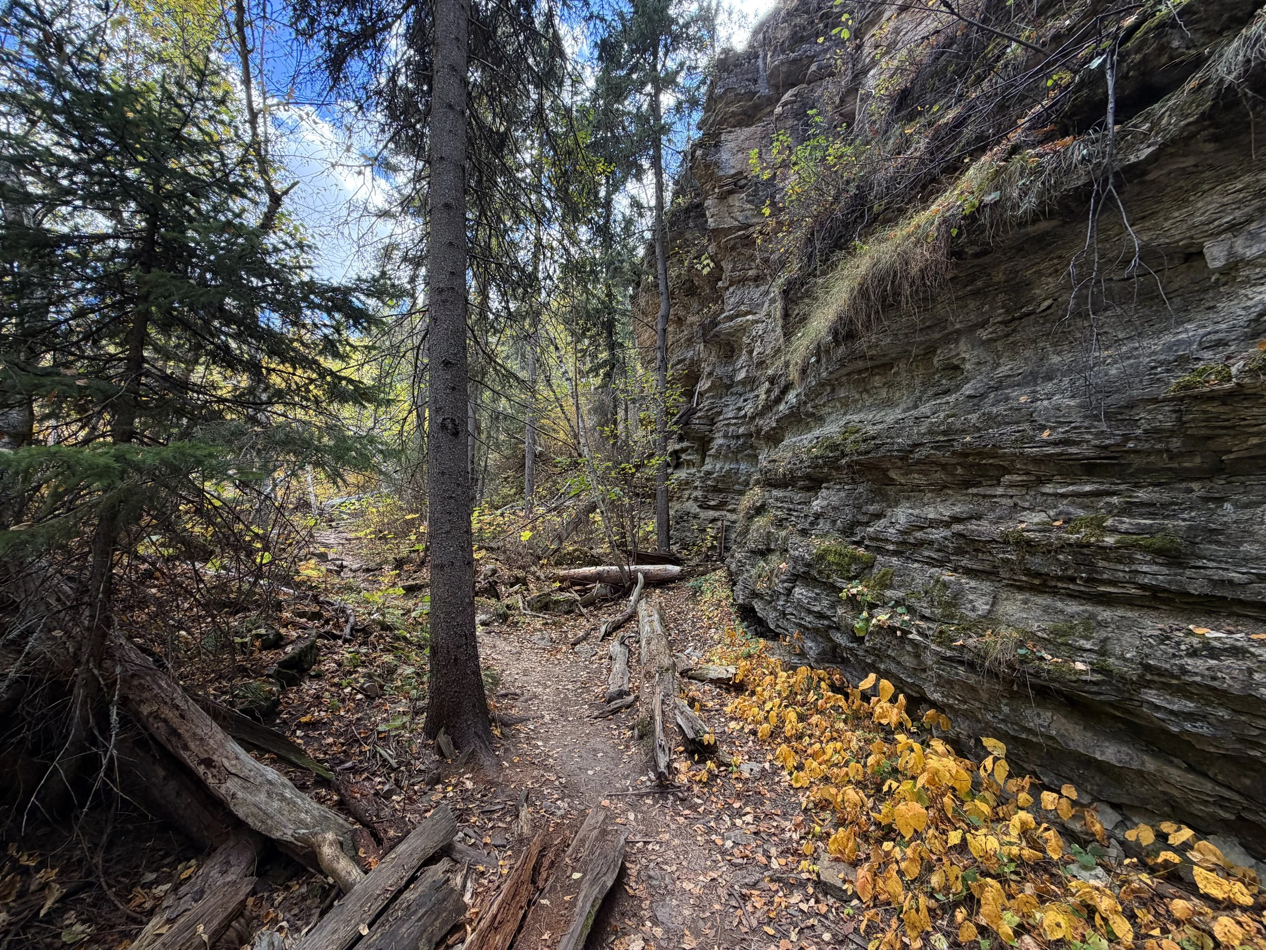 Devils Bathtub Trail Spearfish Canyon Black Hills South Dakota
