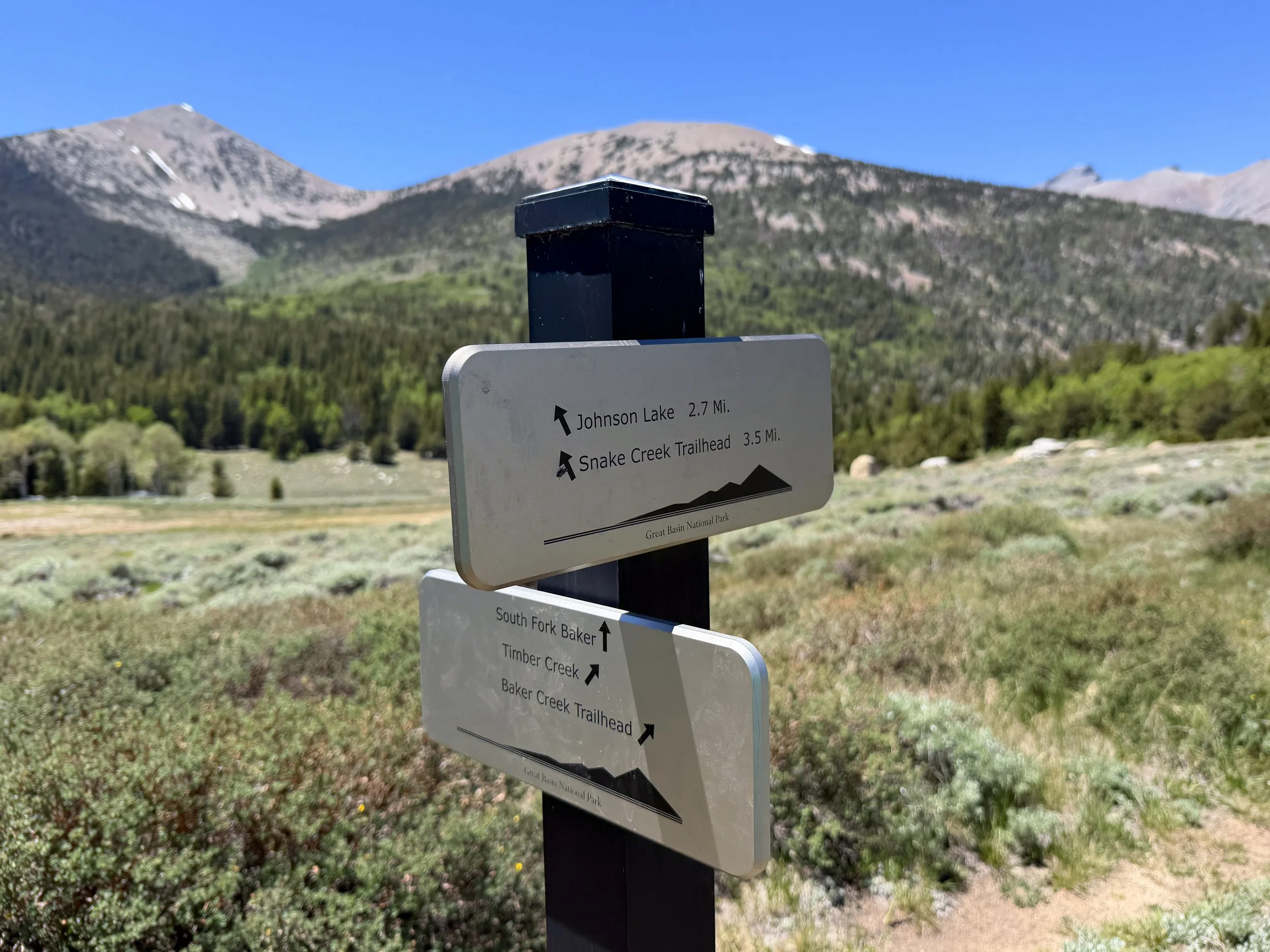 Timber Creek Loop Trail Great Basin National Park Nevada