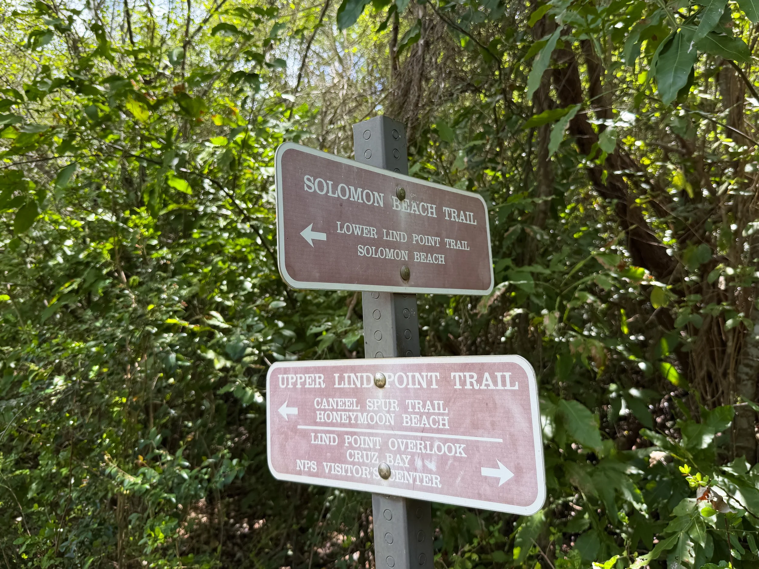Upper Lind Point Hike Virgin Islands National Park
