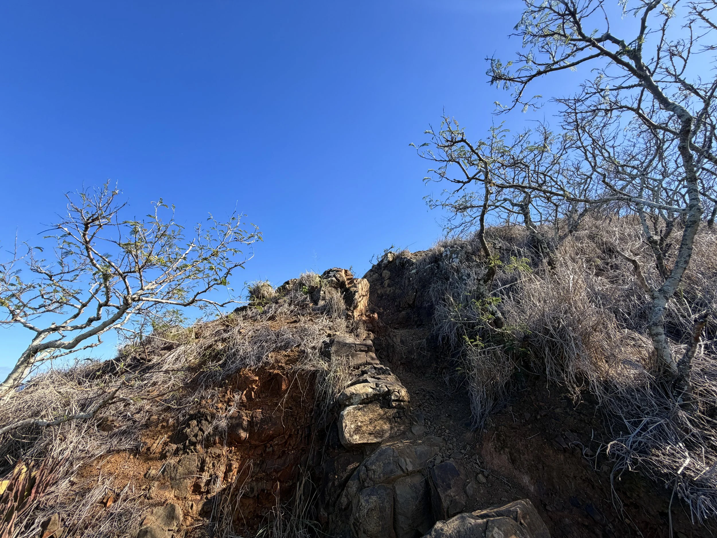 Wailea Point Kaiwa Ridge Trail Oahu Hawaii