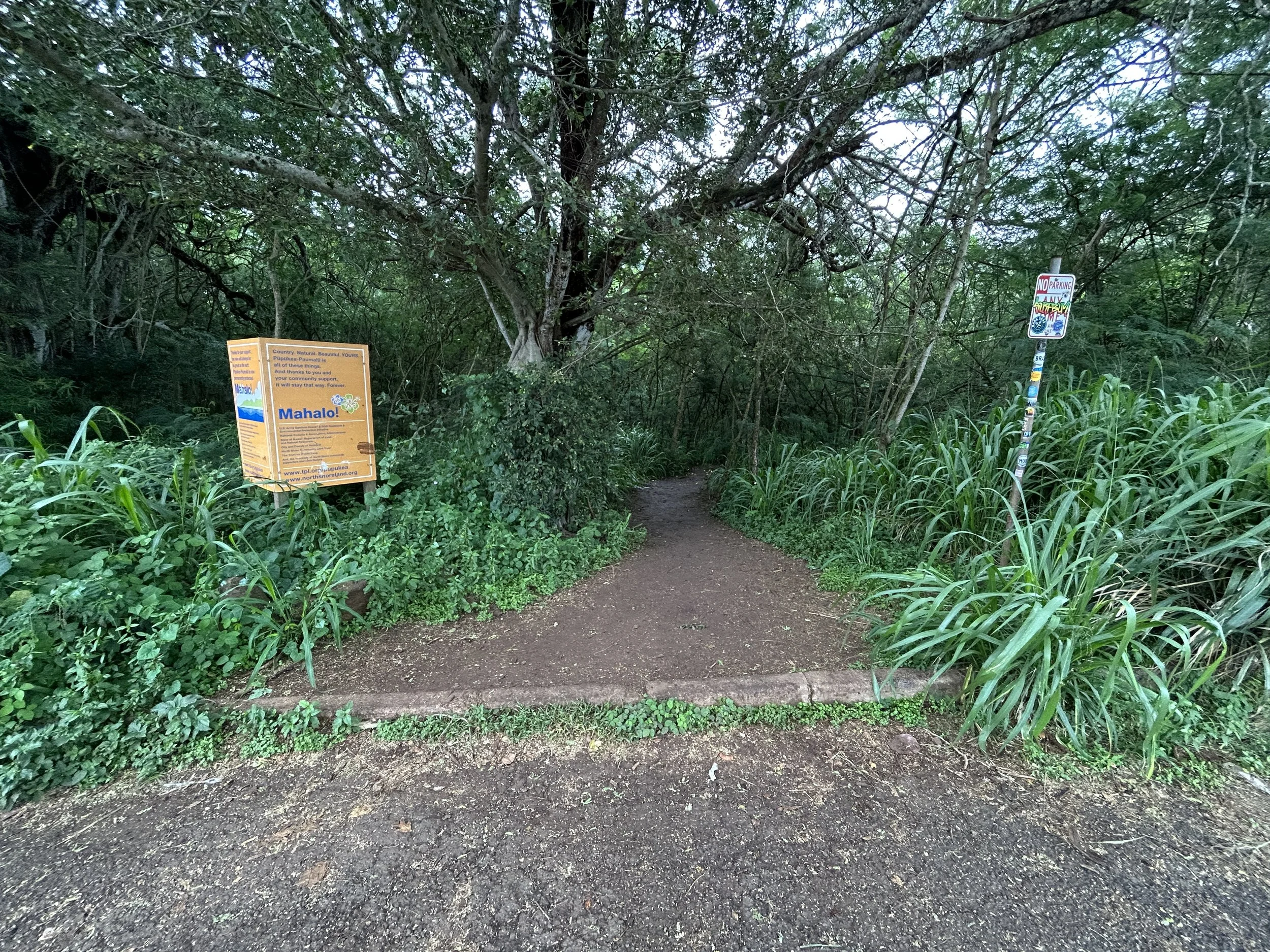 Hiking the ʻEhukai Pillbox Trail on Oʻahu — noahawaii