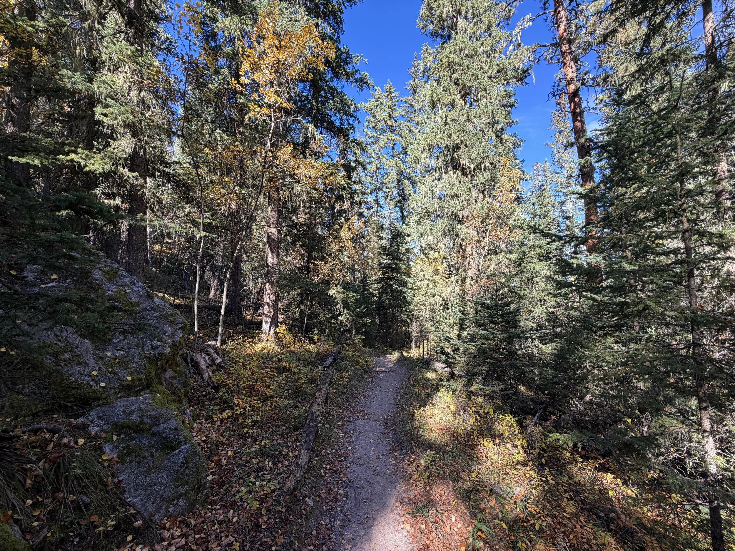 Sunday Gulch Hike Custer State Park Black Hills South Dakota