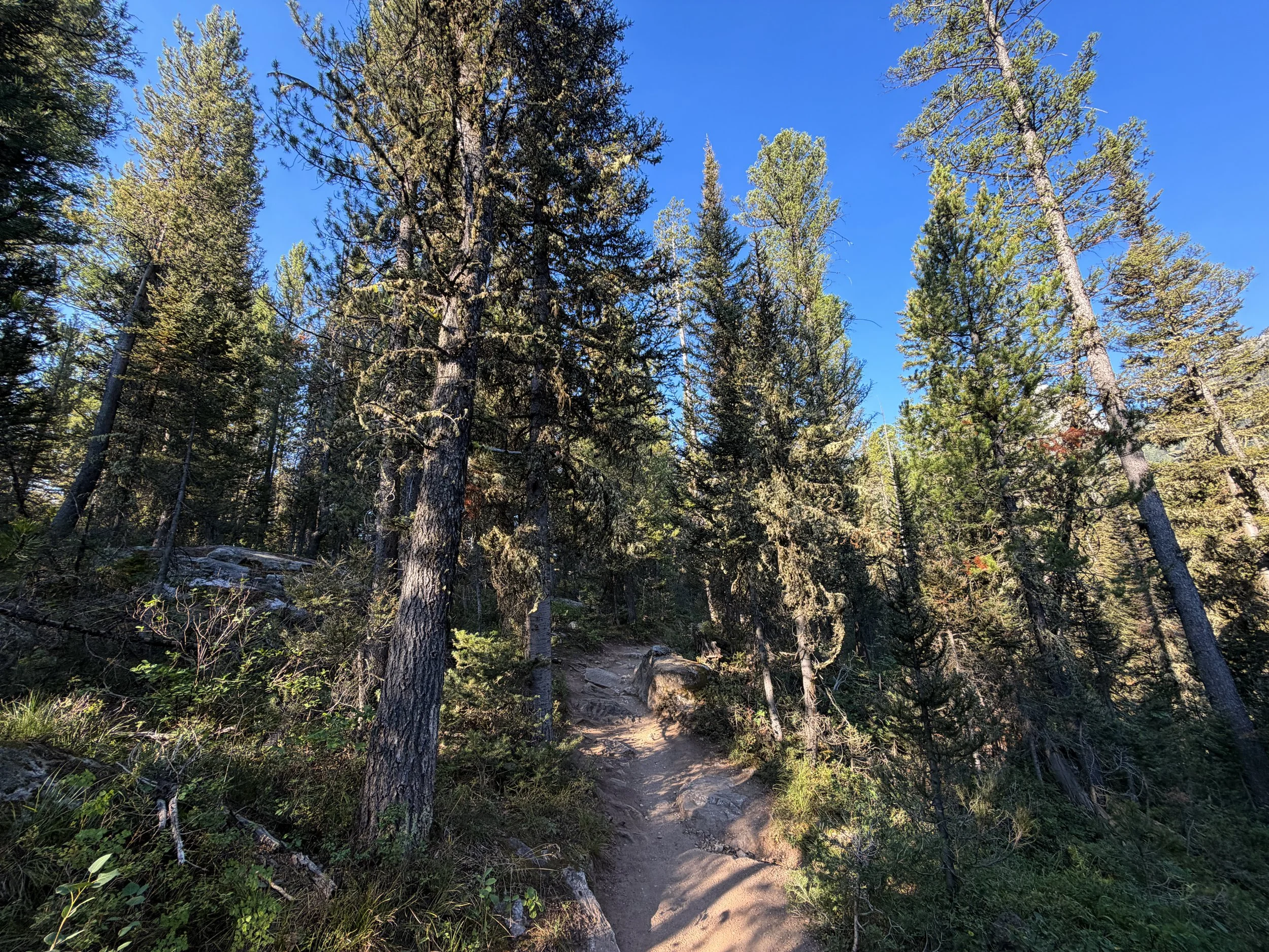 Delta Lake Hike via Lupine Meadows Grand Teton National Park Wyoming