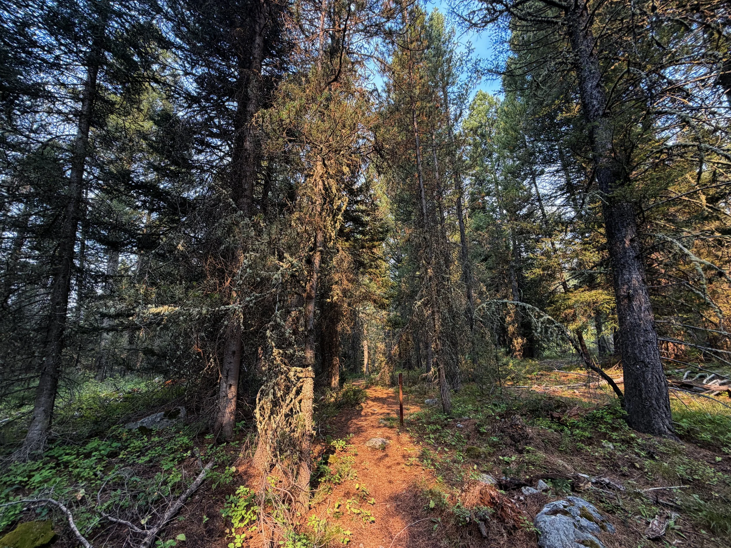 Boulder Aspen Ridge Loop Trail Grand Teton National Park Wyoming