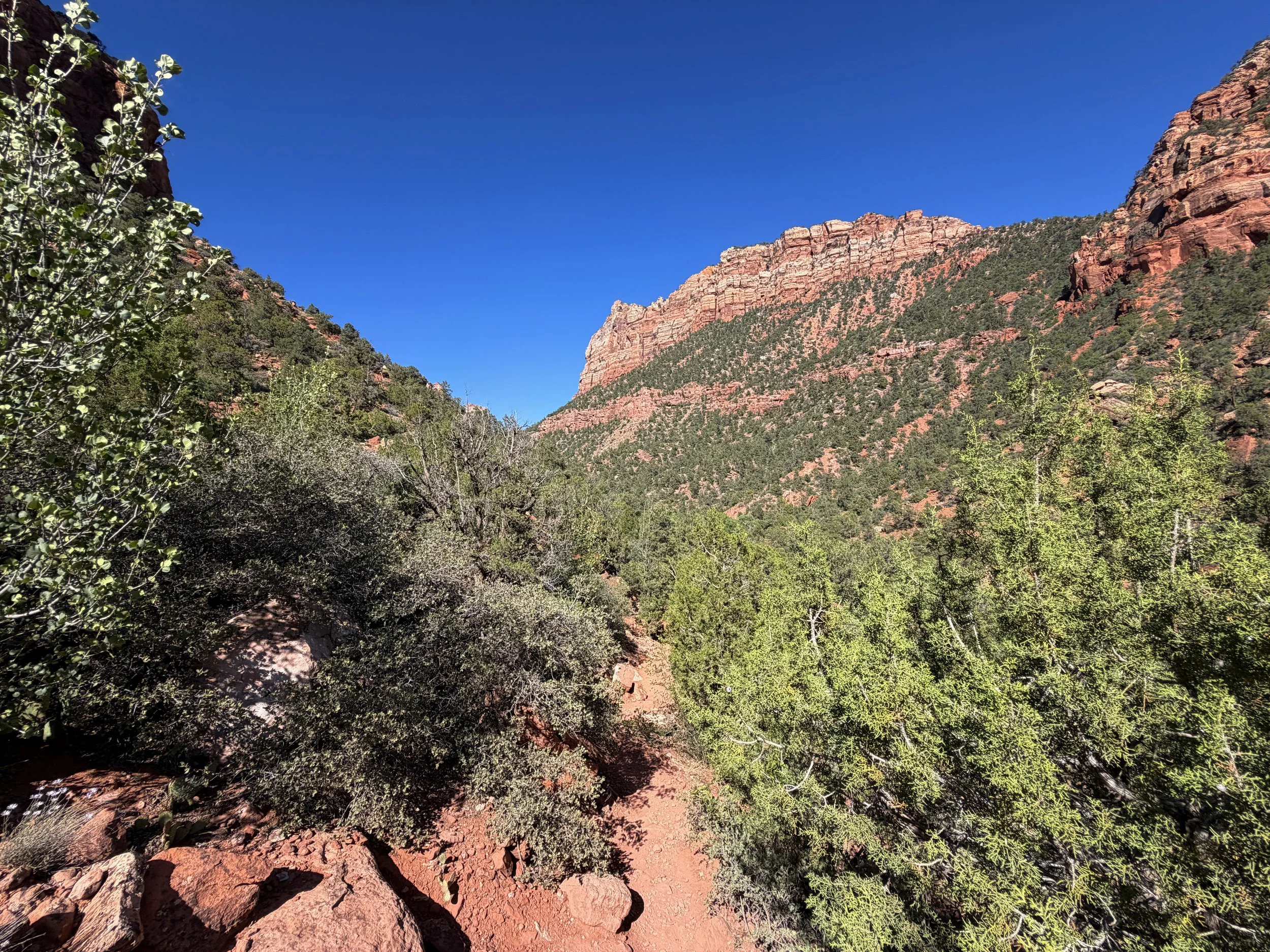 Subway Trail Left Fork North Creek Zion National Park Utah