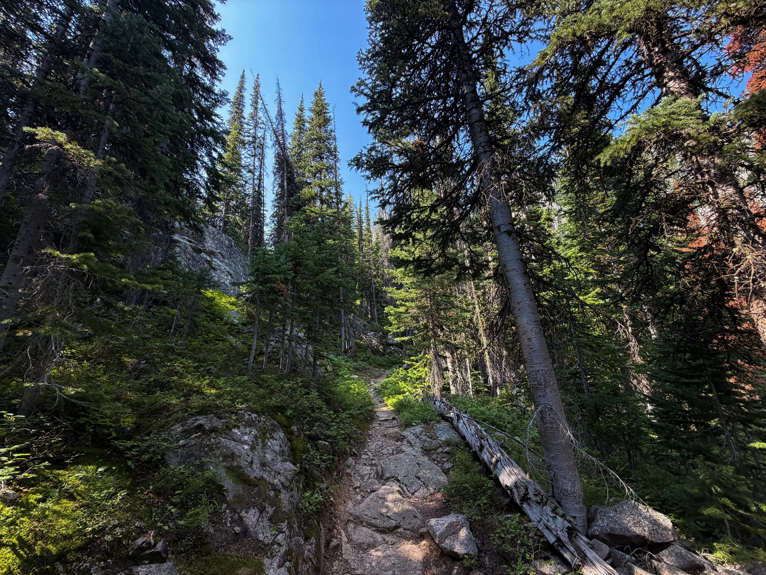 East Rosebud Trail The Beaten Path Beartooth Mountains Montana